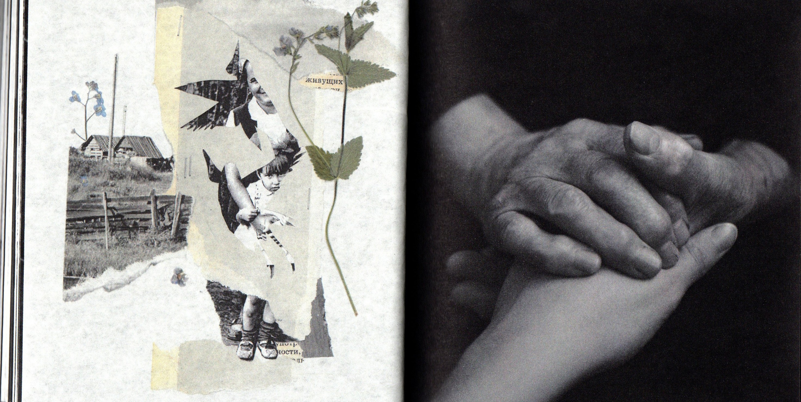 Деревья, которые дают сил. Фотограф Анна Кирнос