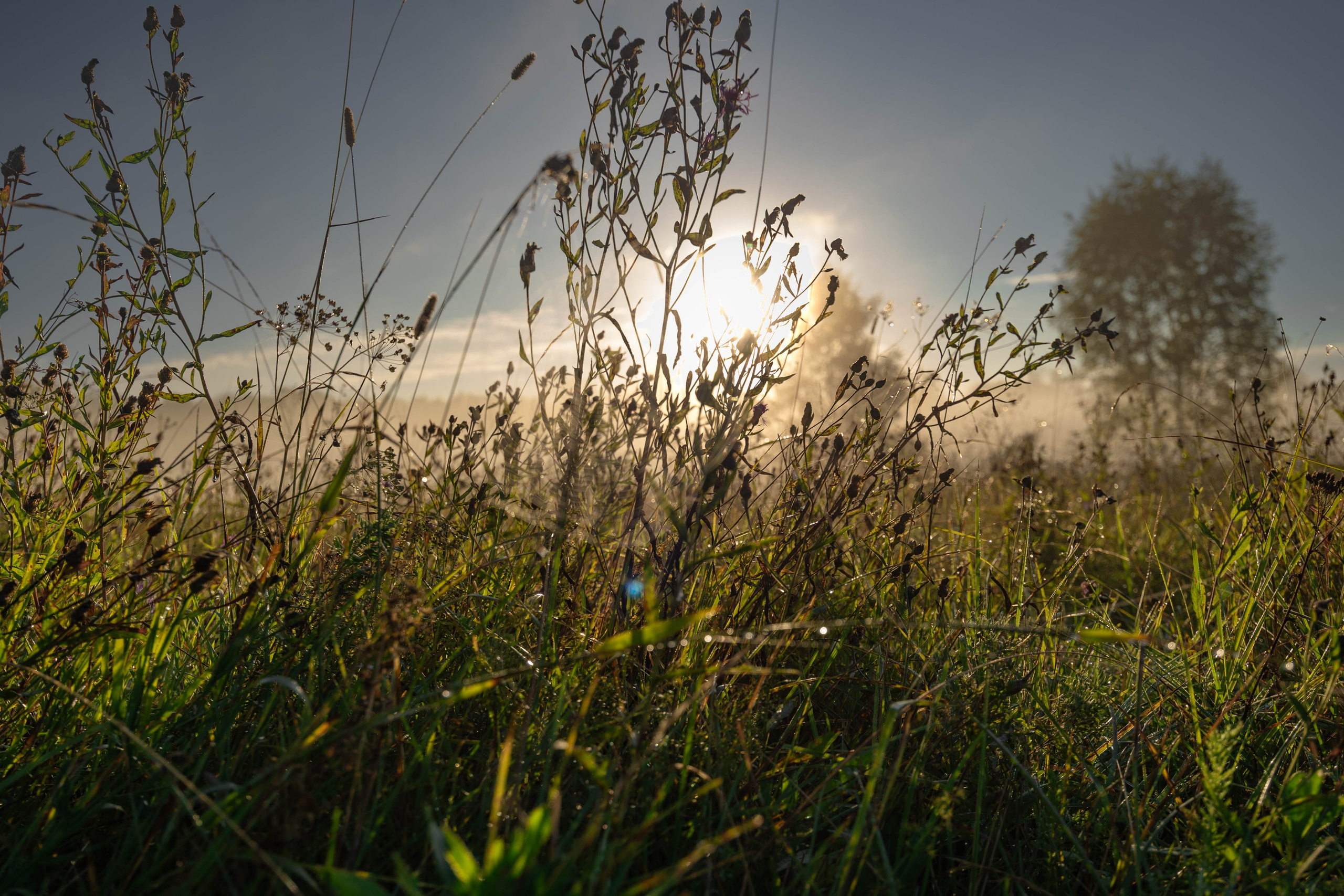 ПЛАНЕТА ЗЕМЛЯ (пейзаж). АЛЕКСЕЙ КОЛМАКОВ. Фотограф. Москва и Московская область