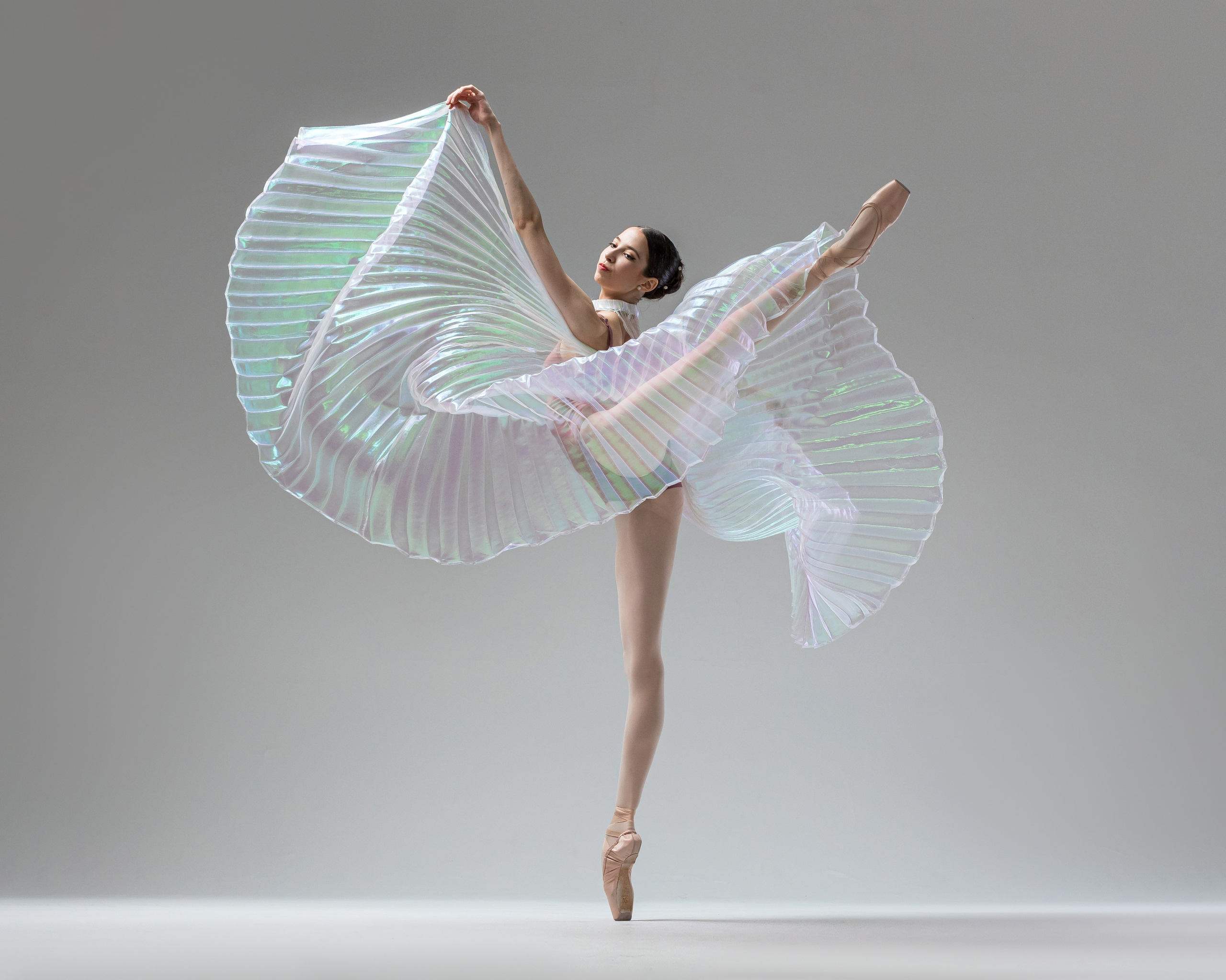 Крылья перламутровые напрокат бесплатно. Балетный фотограф Алина Ханько — Душа Балета