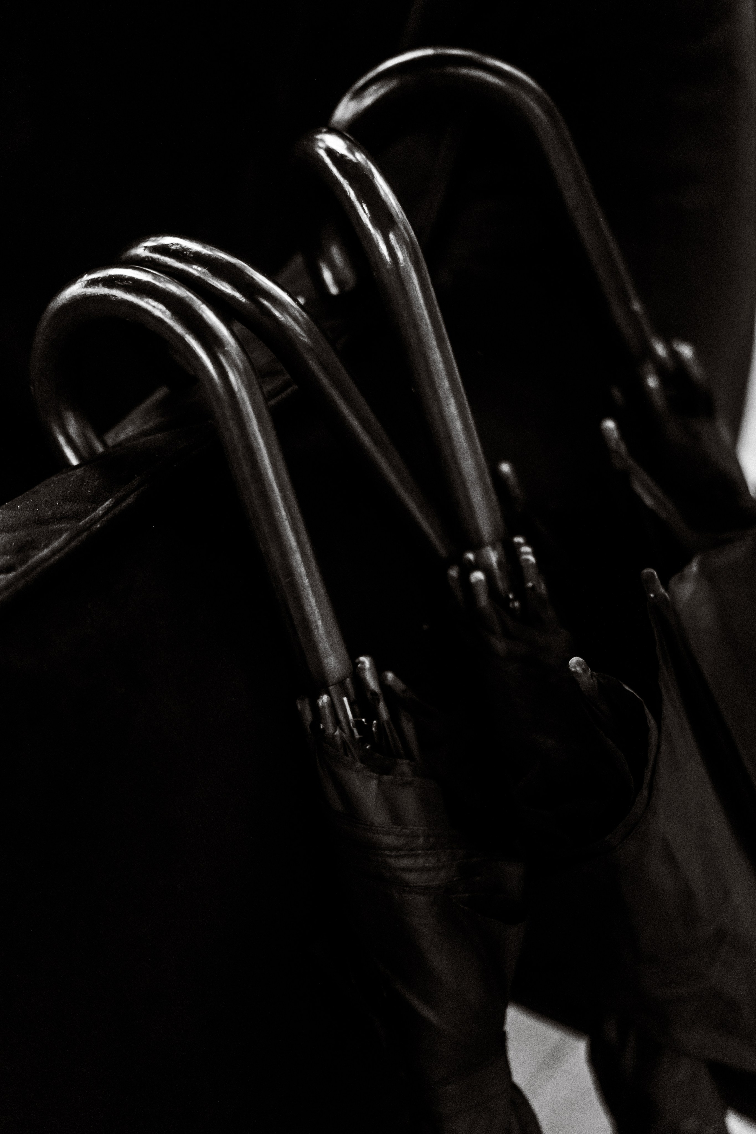 Прячься! Дождь идёт. Сочи. 2024. Никита Погосов