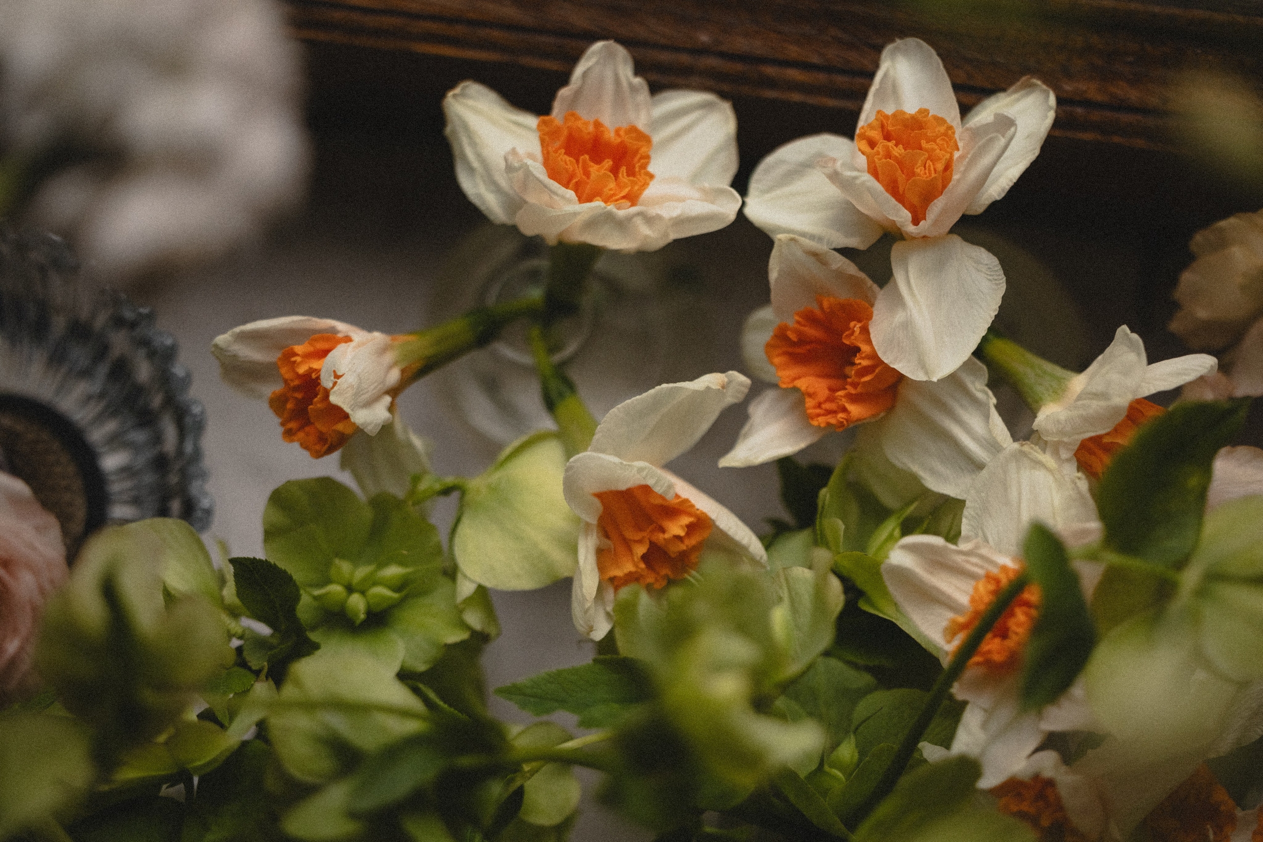 Весна в Москве (серия собирается). Свадебный и семейный фотограф и видеограф, Крым, Москва, Санкт -Петербург