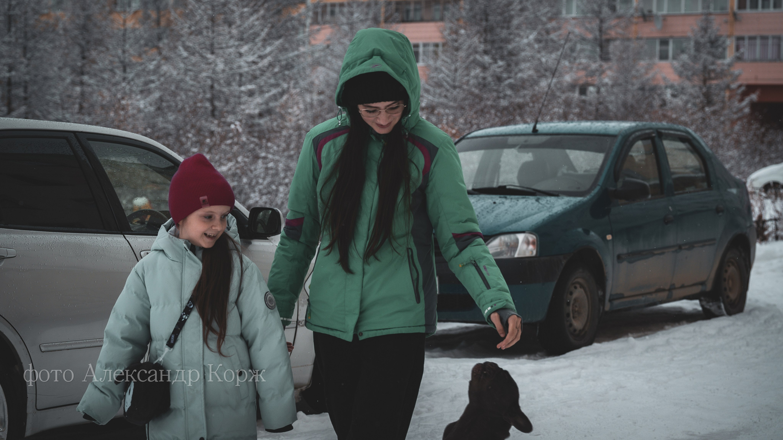 Природа крайнего Севера. Айхал. Фотографии и видеосъемка, Айхал, Удачный, Якутия. Фотографии Айхал