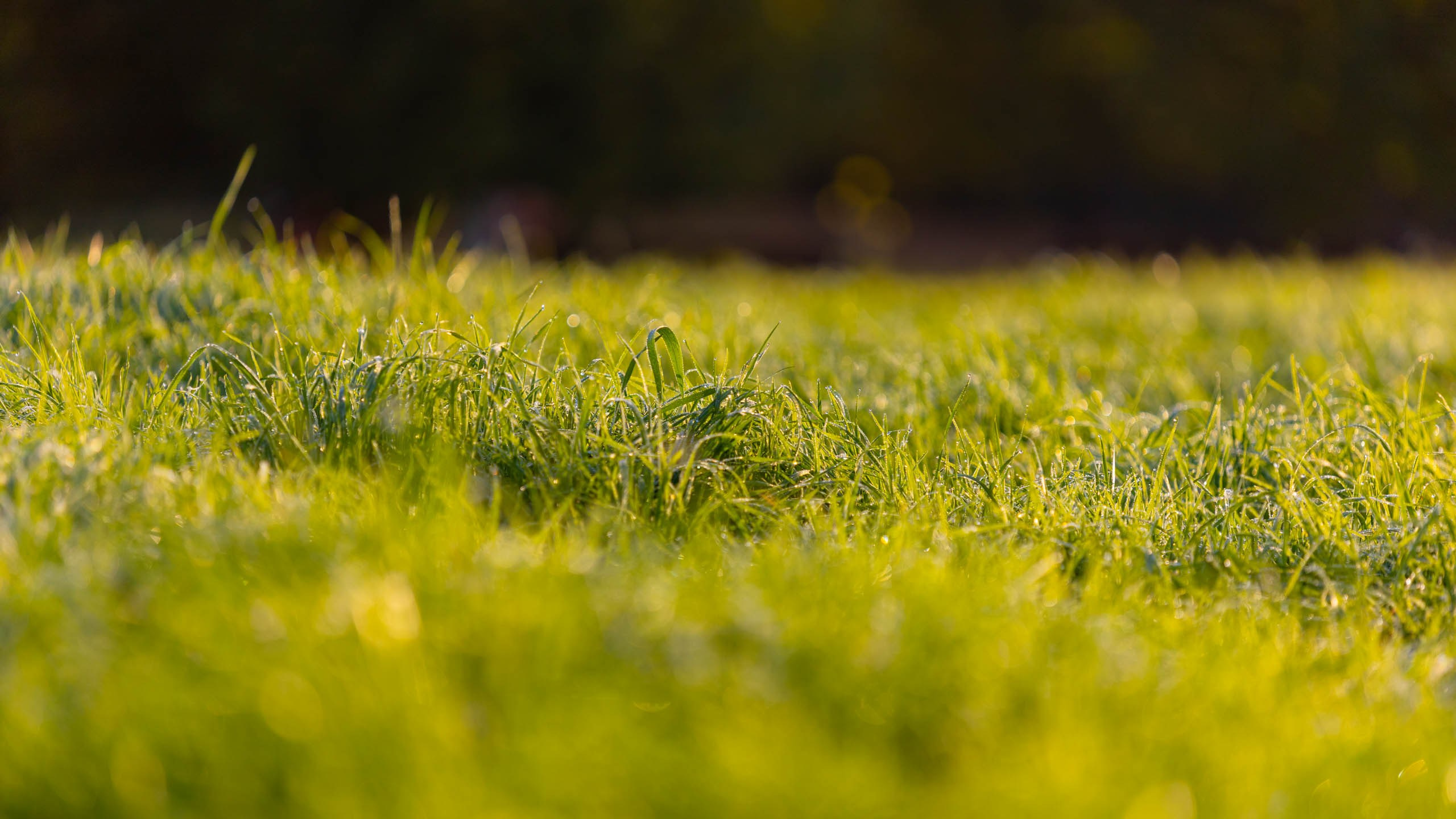 2023 09 Царицыно. Фотографии