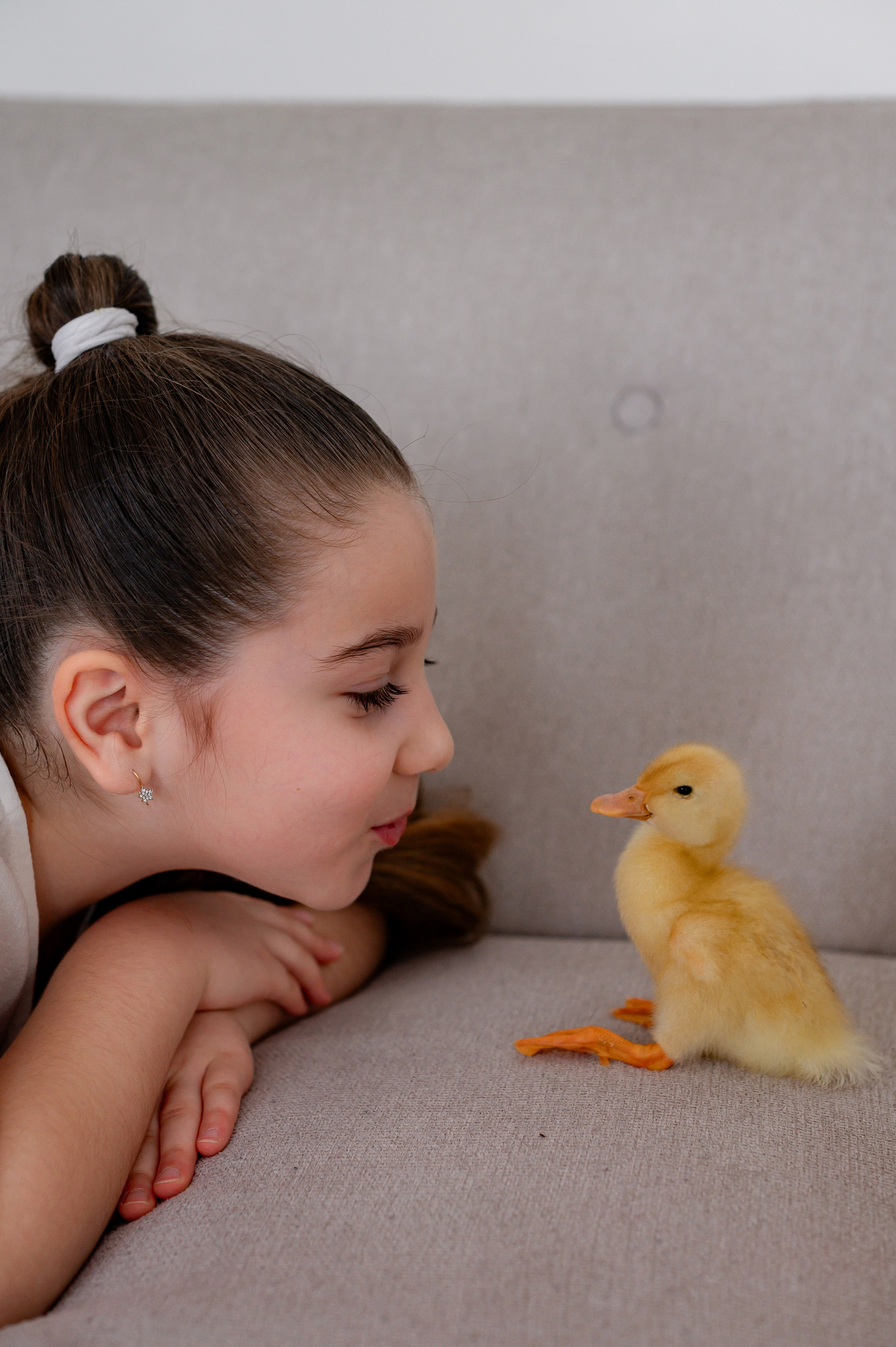 Лев Арина Вика Алена. Фотограф Татьяна Иванчикова