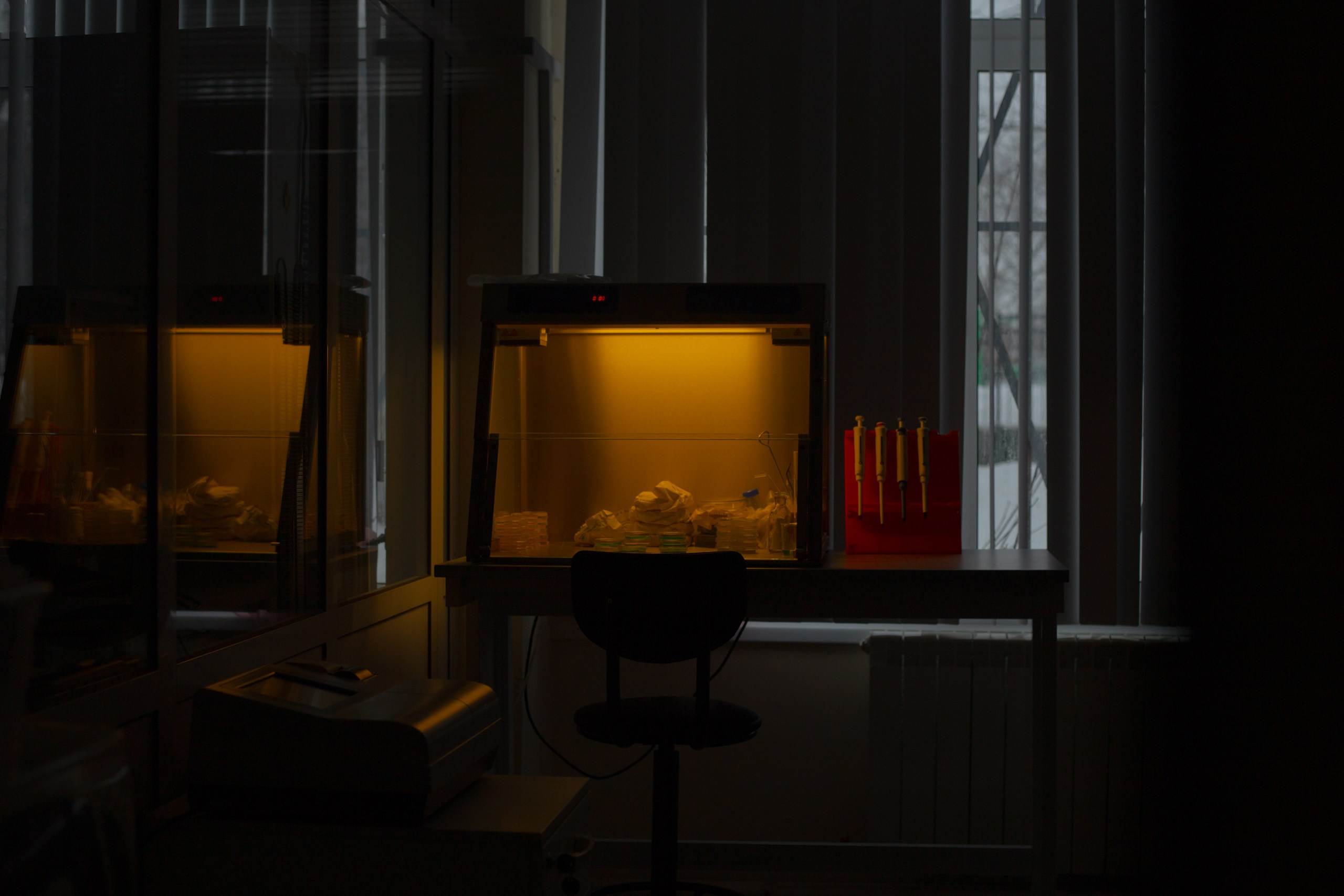 Репортаж Наука. Фотограф в Ярославле Ольга Пыненкова