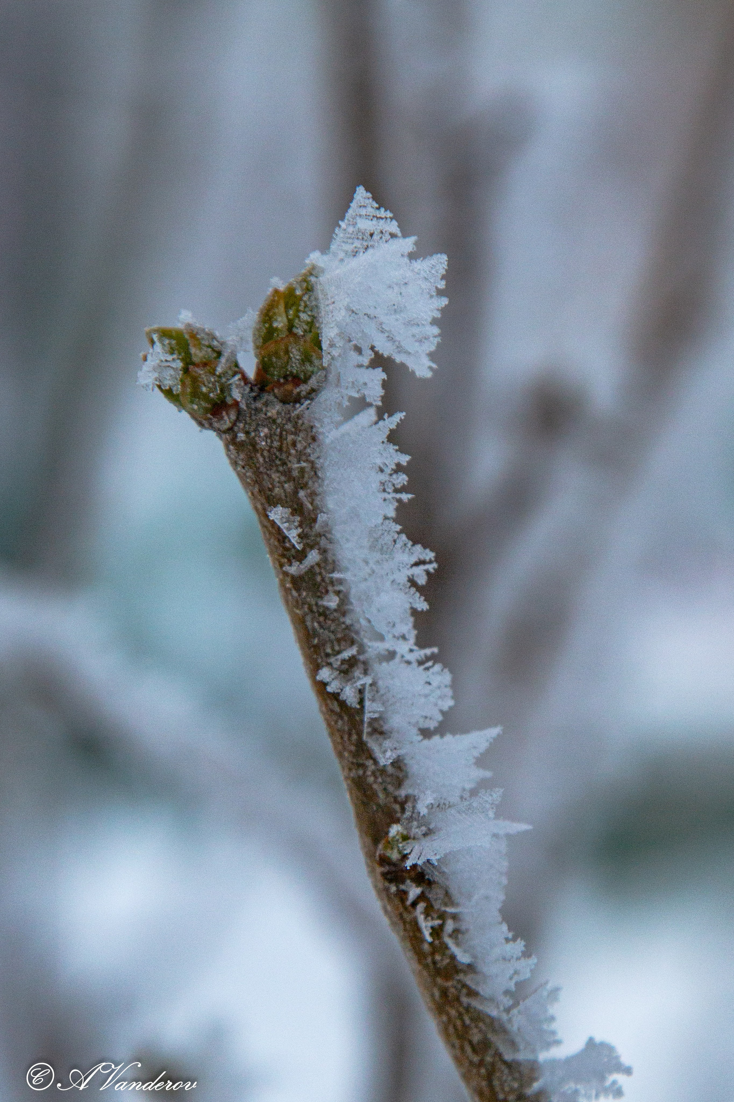 Красота природы. Фотограф Омск | Александр Вандеров