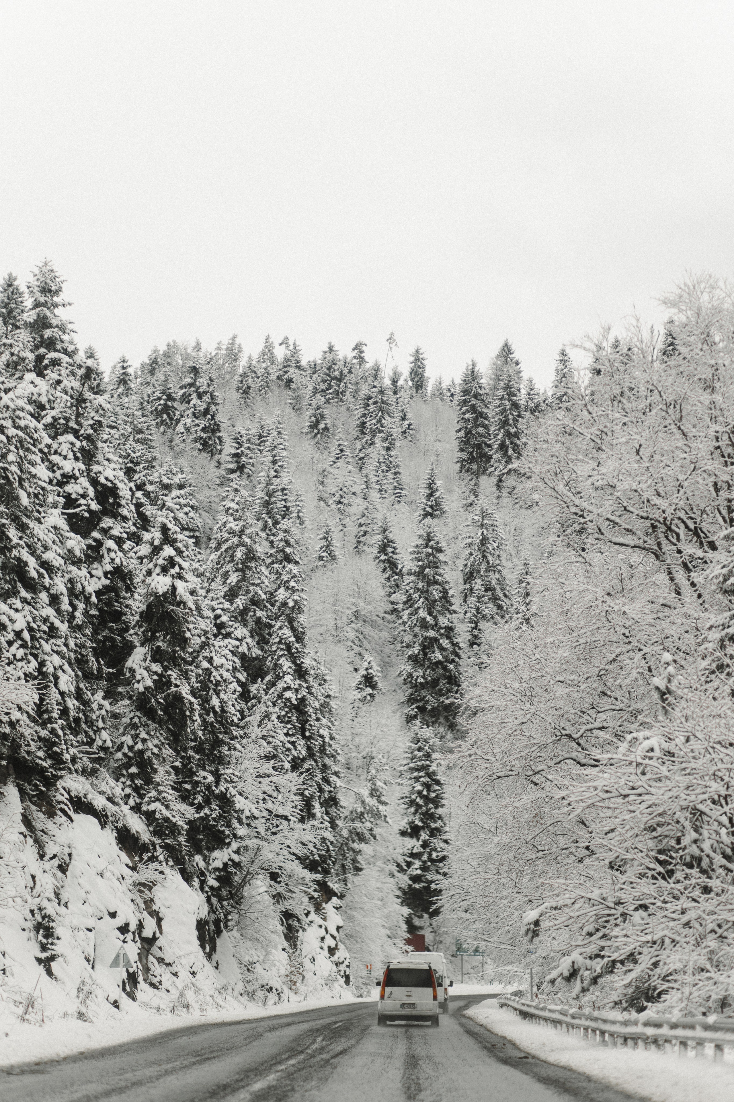 Winter in Bakuriani. Anastasia Blud Photography