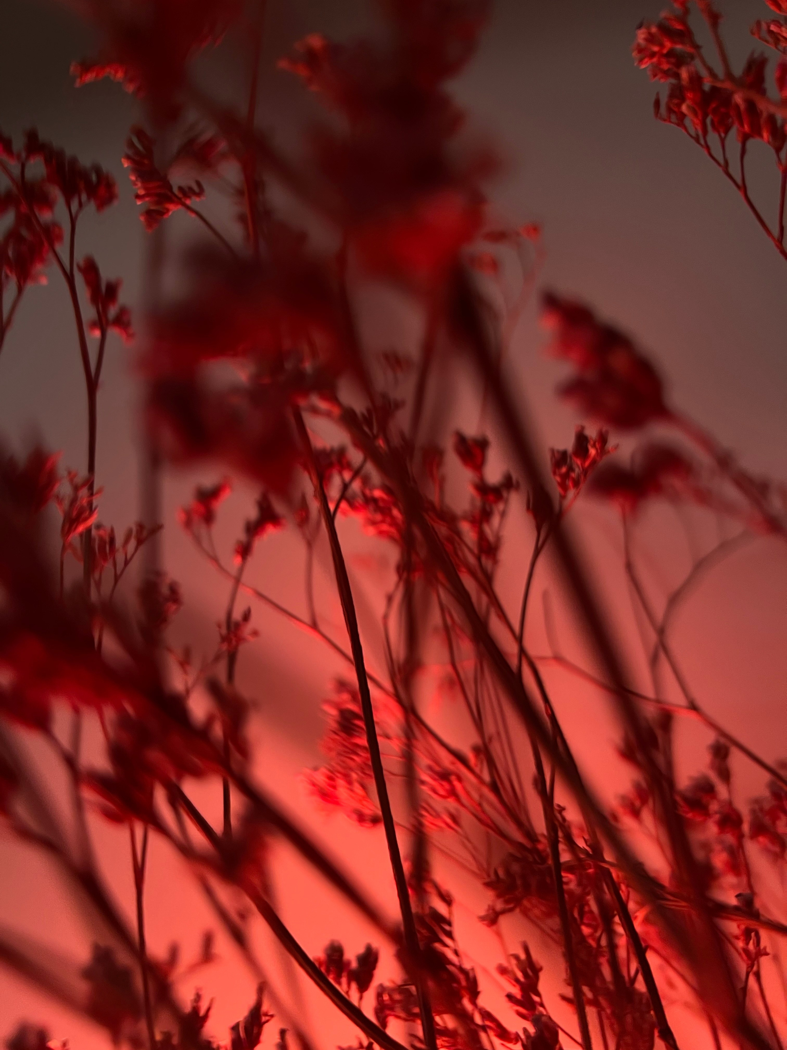 Fragments. Artem Khusainov