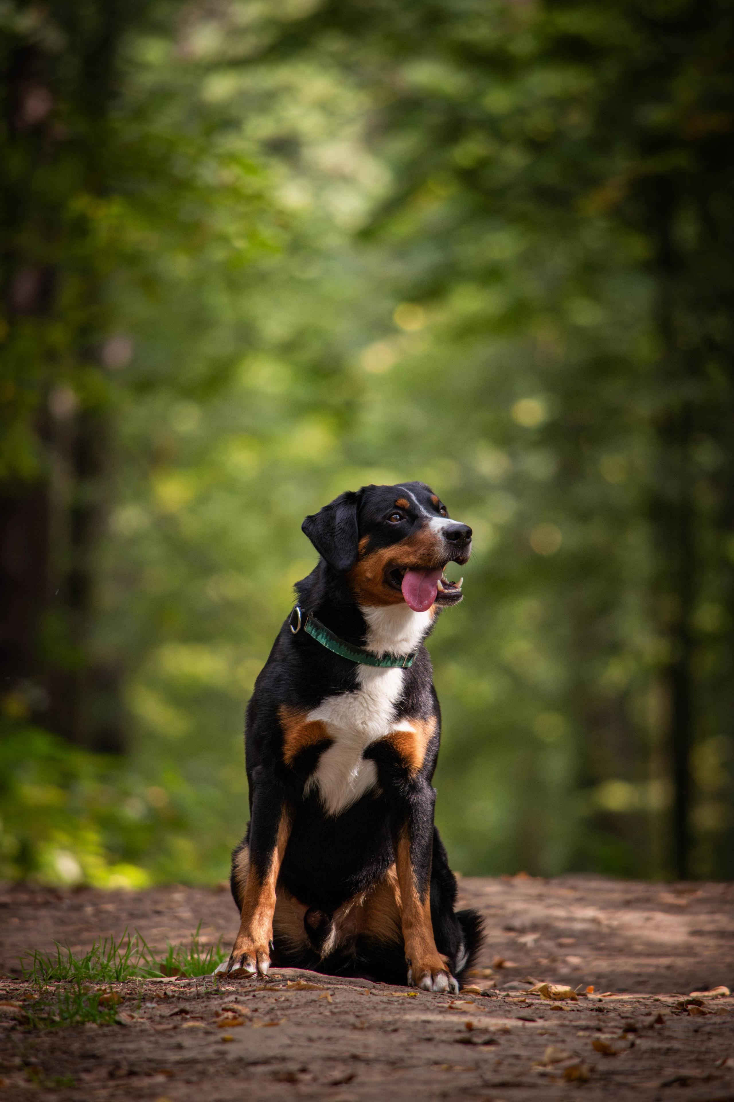 Микки и Юля. Фотограф Светлана Блинова, Москва и Московская область