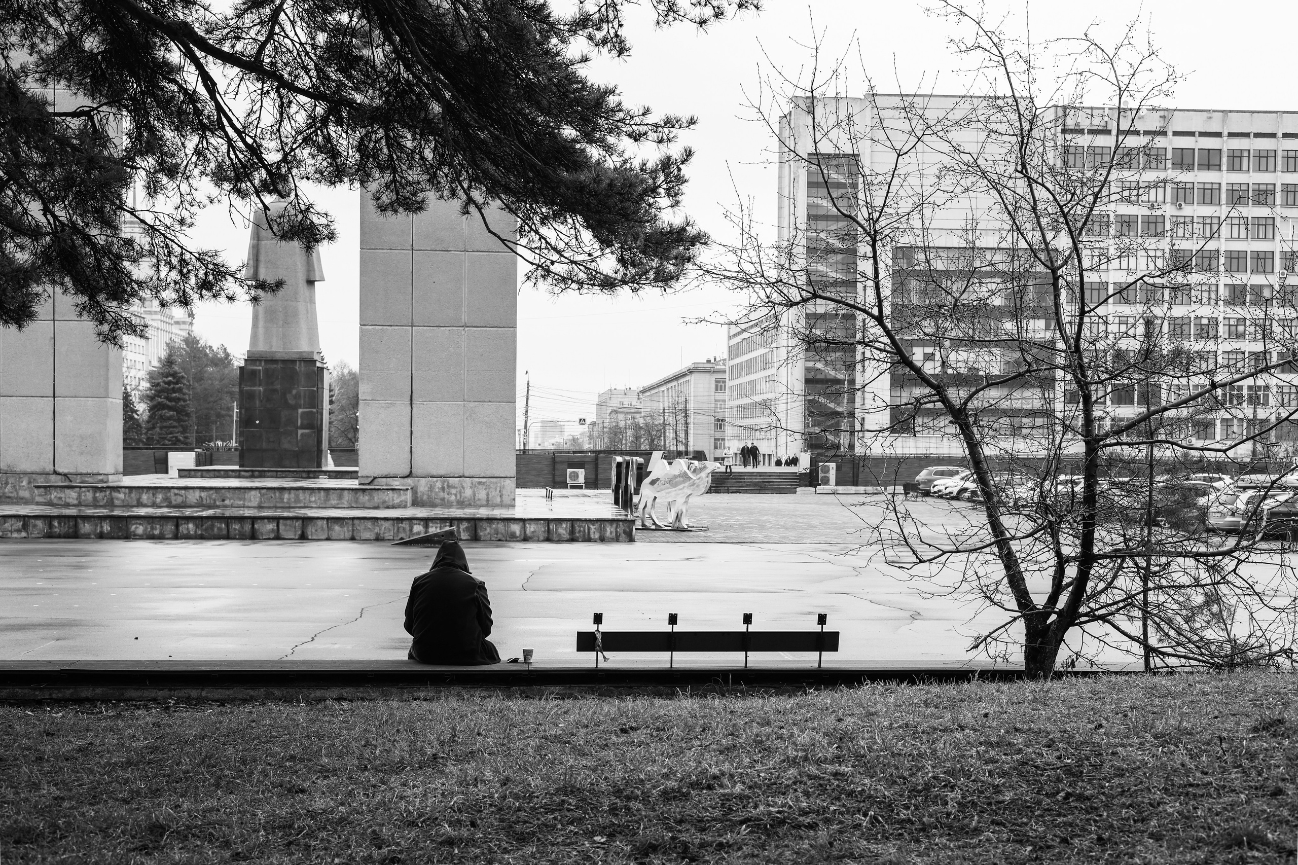 From a Stranger to Strangers. José Carlos Palacios — Fotografía
