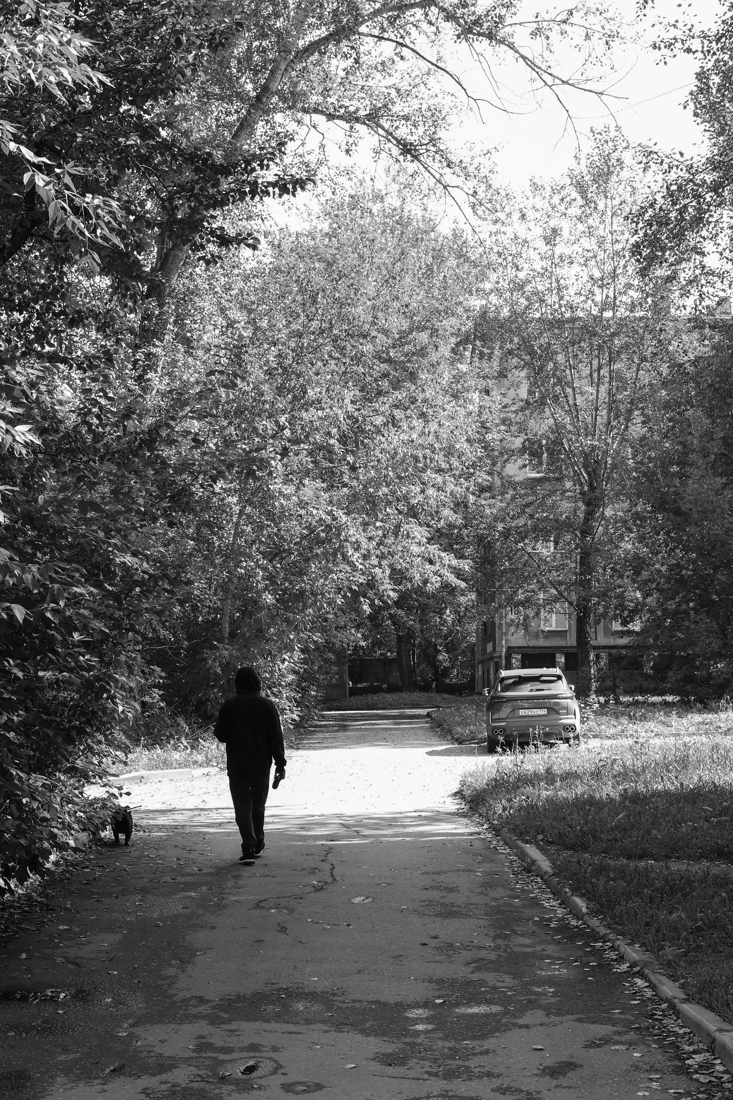 From a Stranger to Strangers. José Carlos Palacios — Fotografía