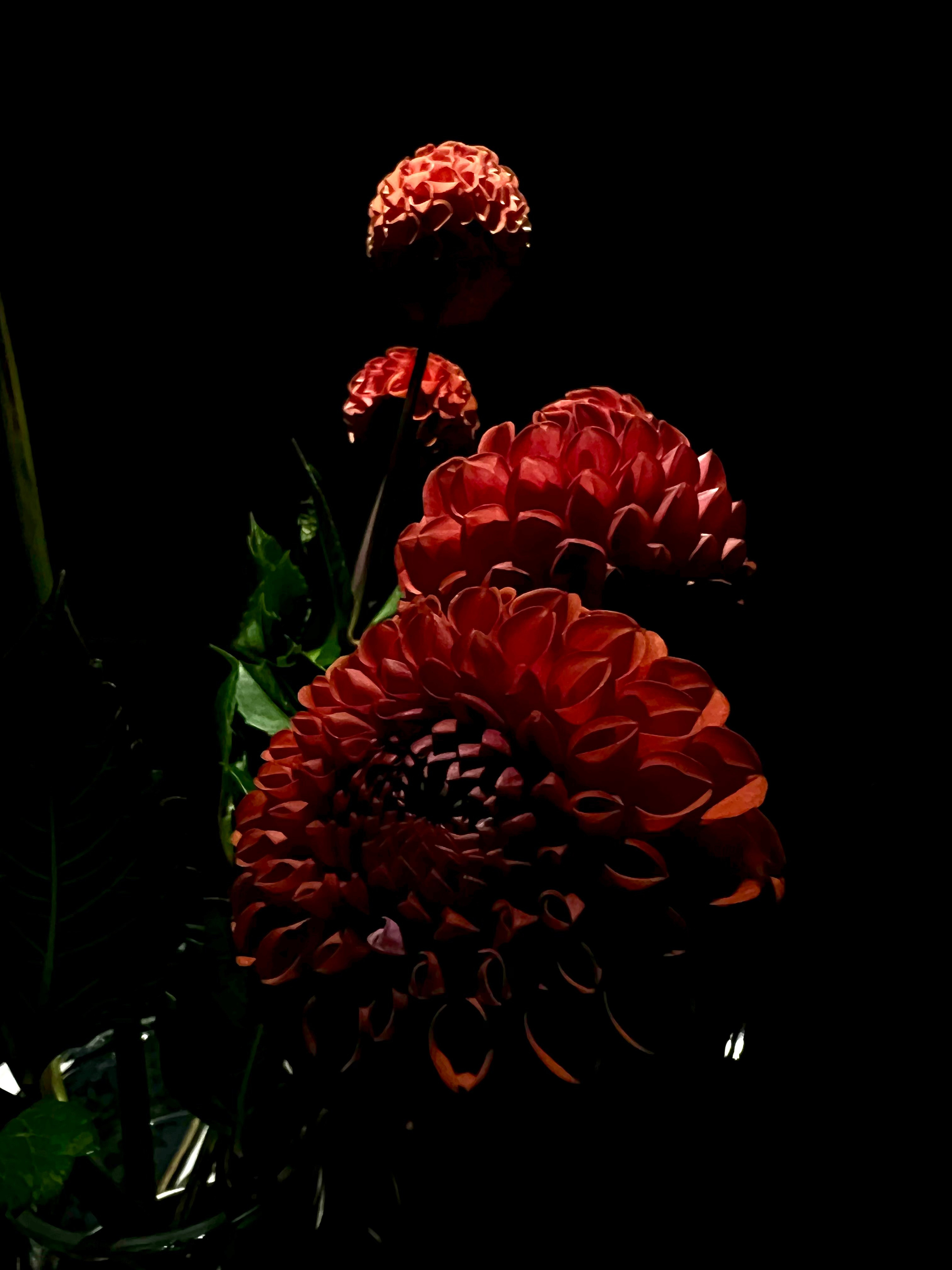 Fragments. Artem Khusainov