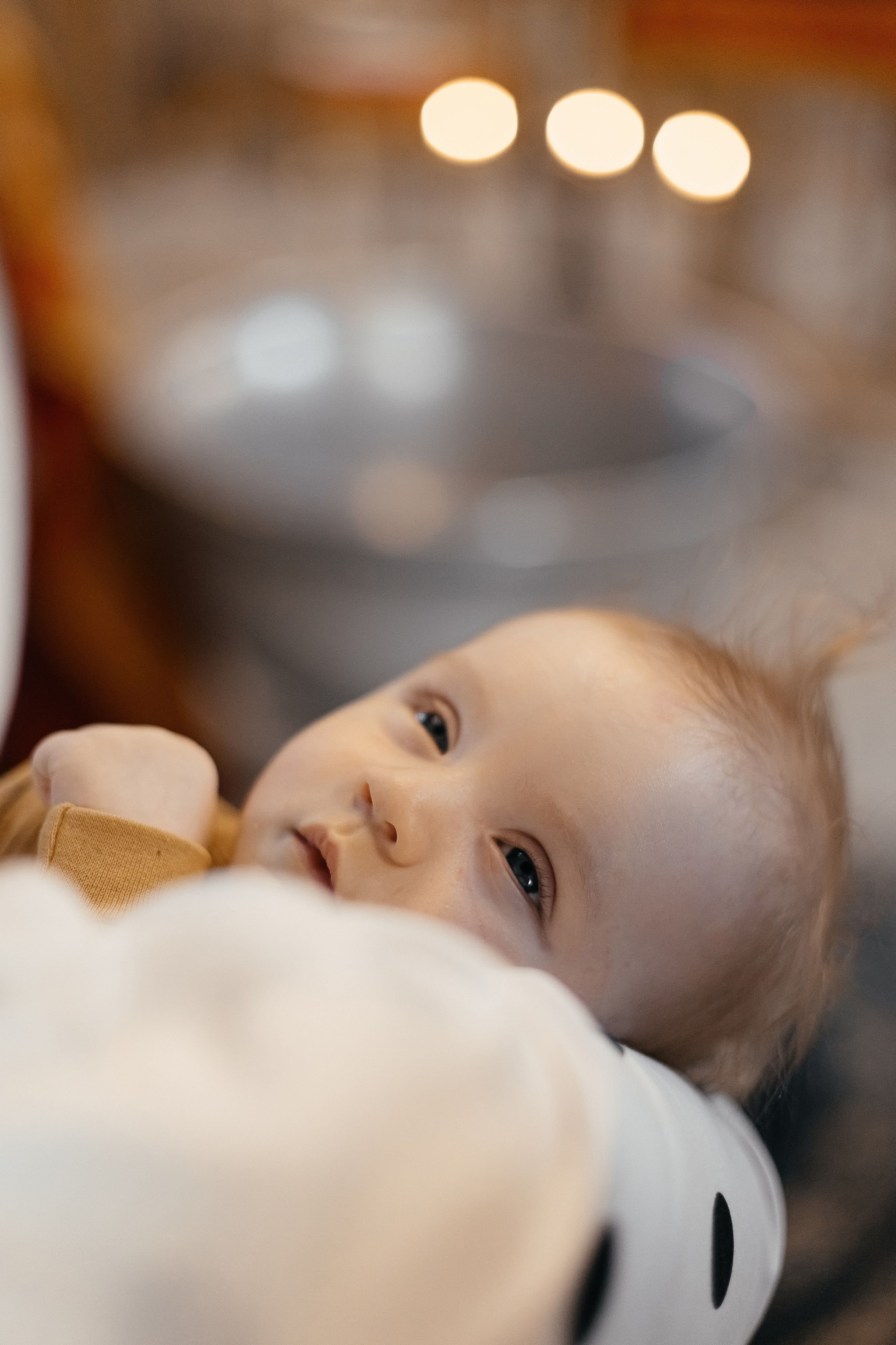 Крестины Марка. Главная