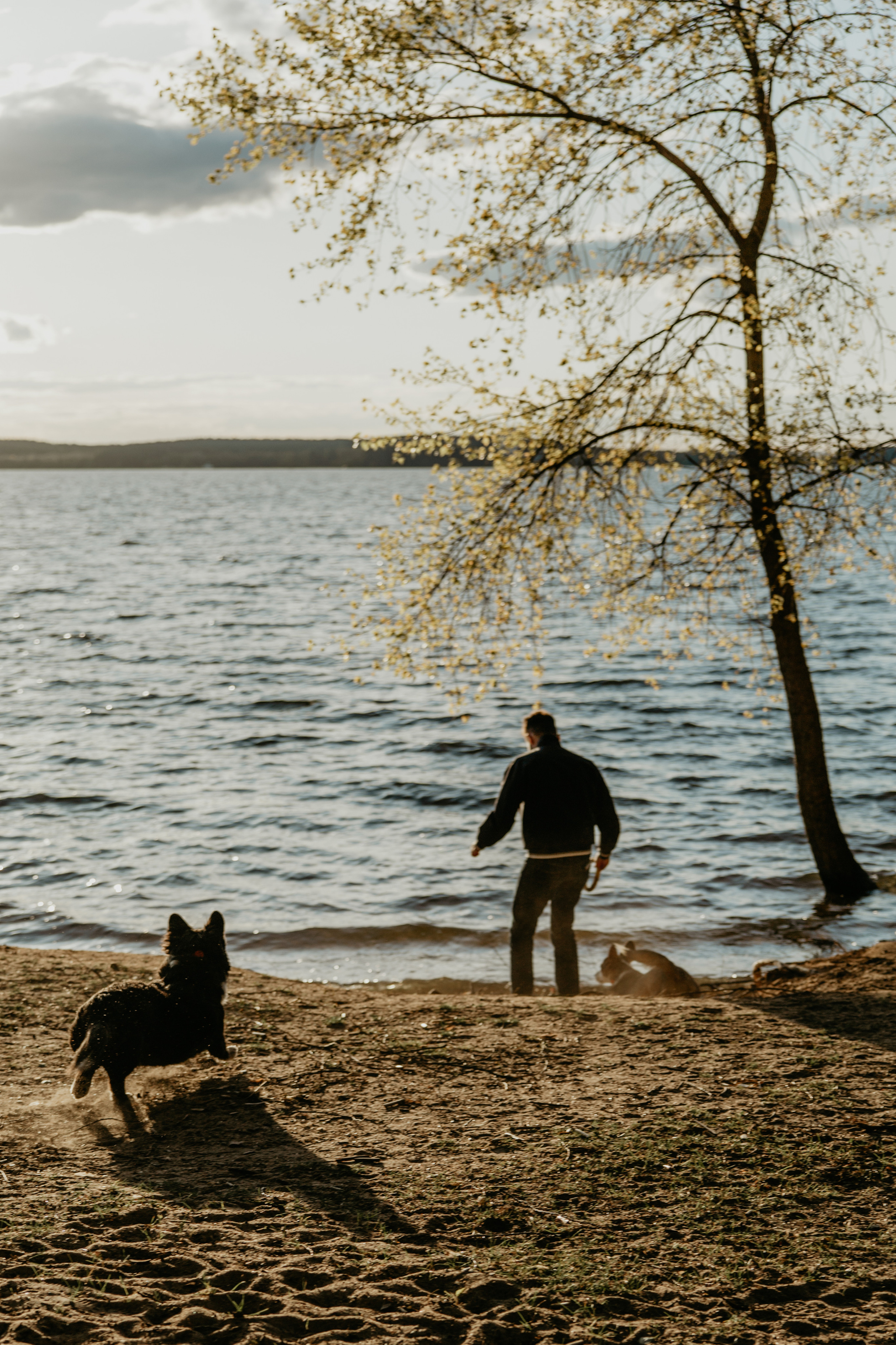 С Корги на Минском море. Свадебный и портретный фотограф Минск Евсович Инна