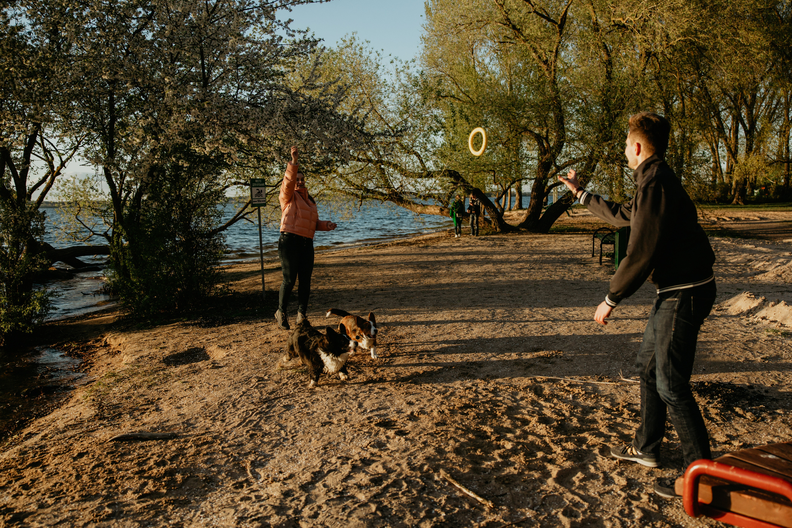 С Корги на Минском море. Свадебный и портретный фотограф Минск Евсович Инна