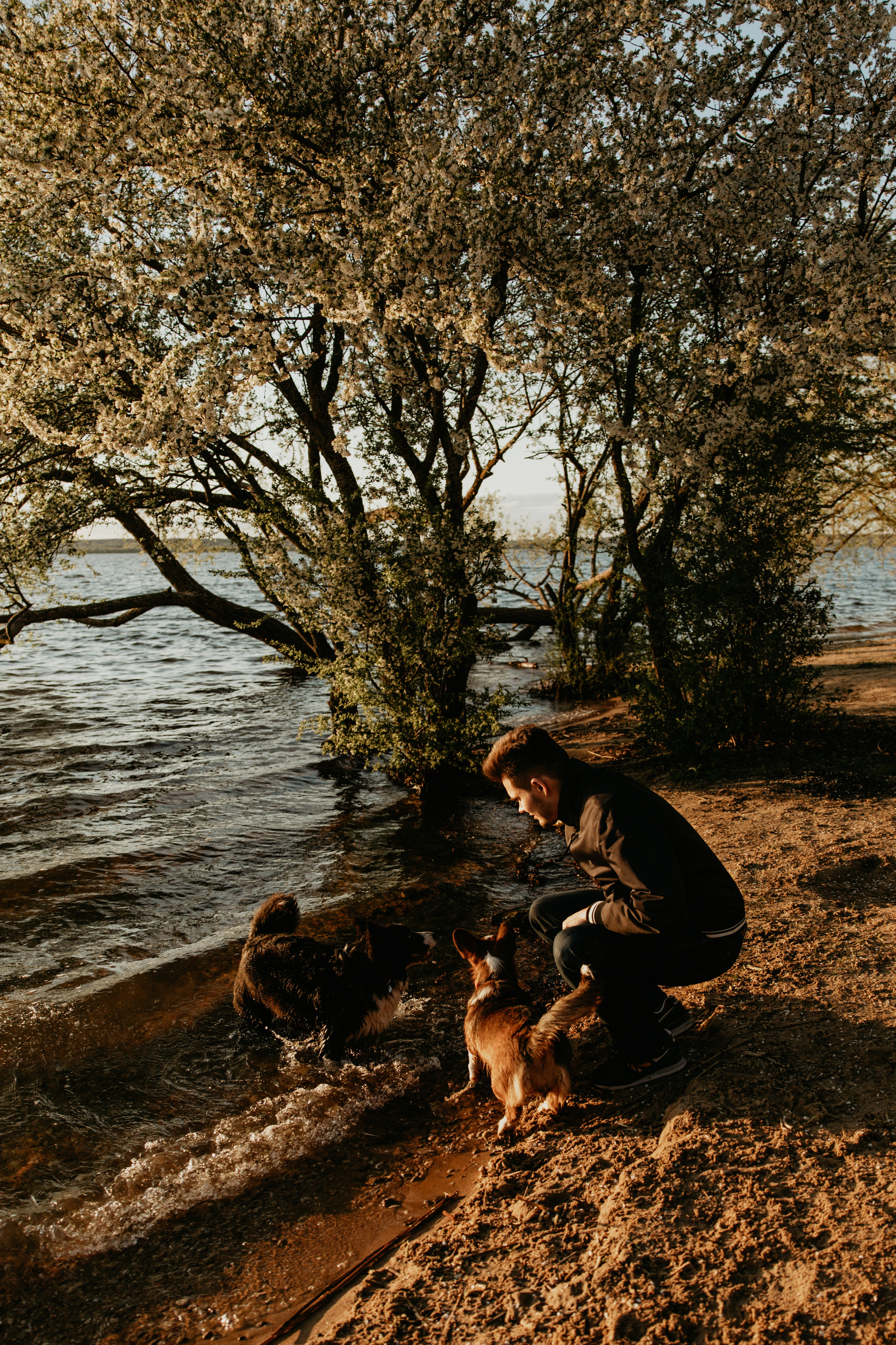 С Корги на Минском море. Свадебный и портретный фотограф Минск Евсович Инна