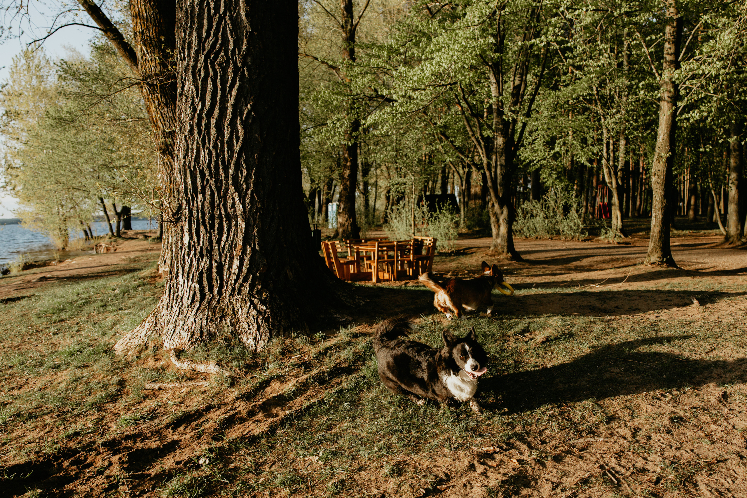 С Корги на Минском море. Свадебный и портретный фотограф Минск Евсович Инна