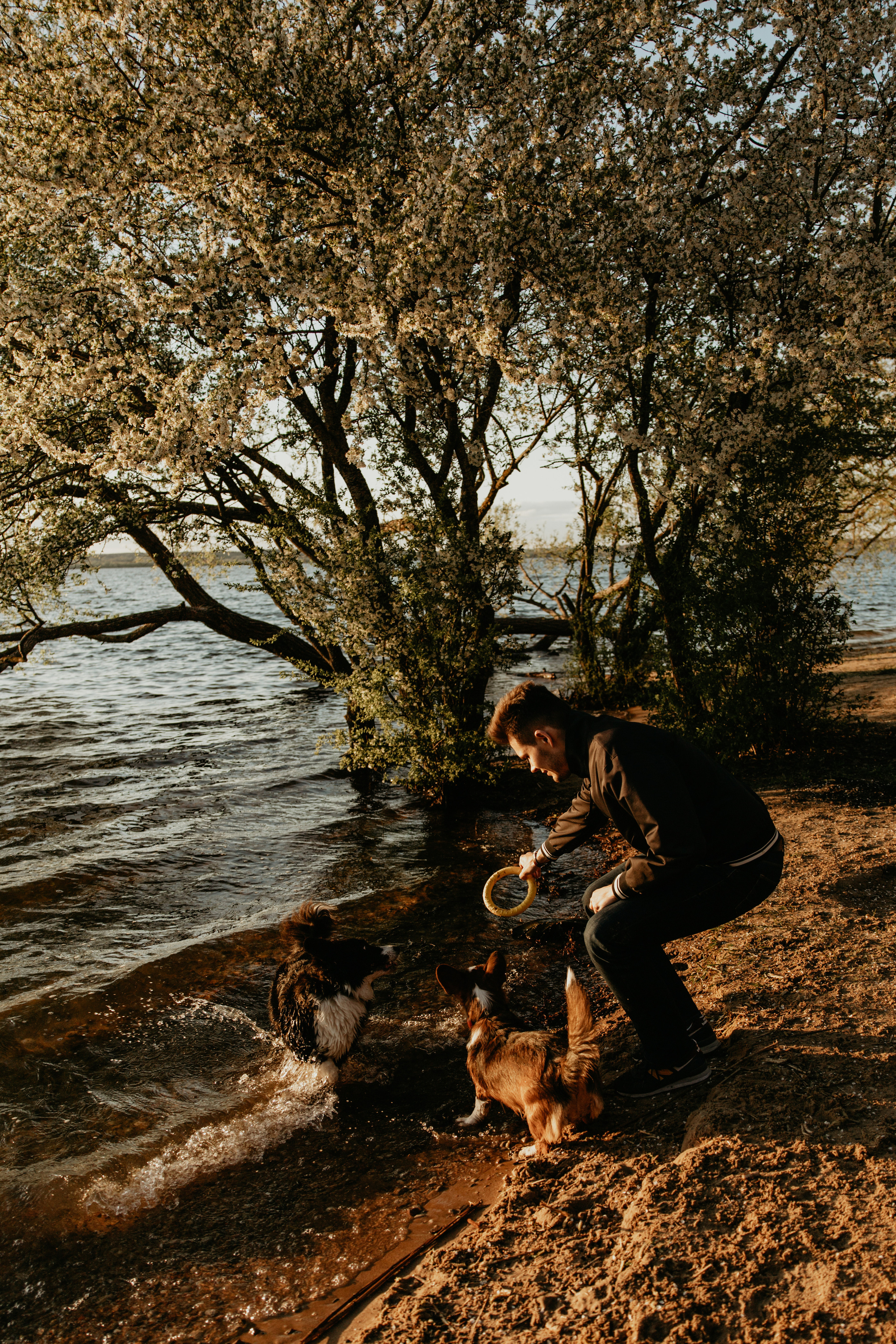 С Корги на Минском море. Свадебный и портретный фотограф Минск Евсович Инна