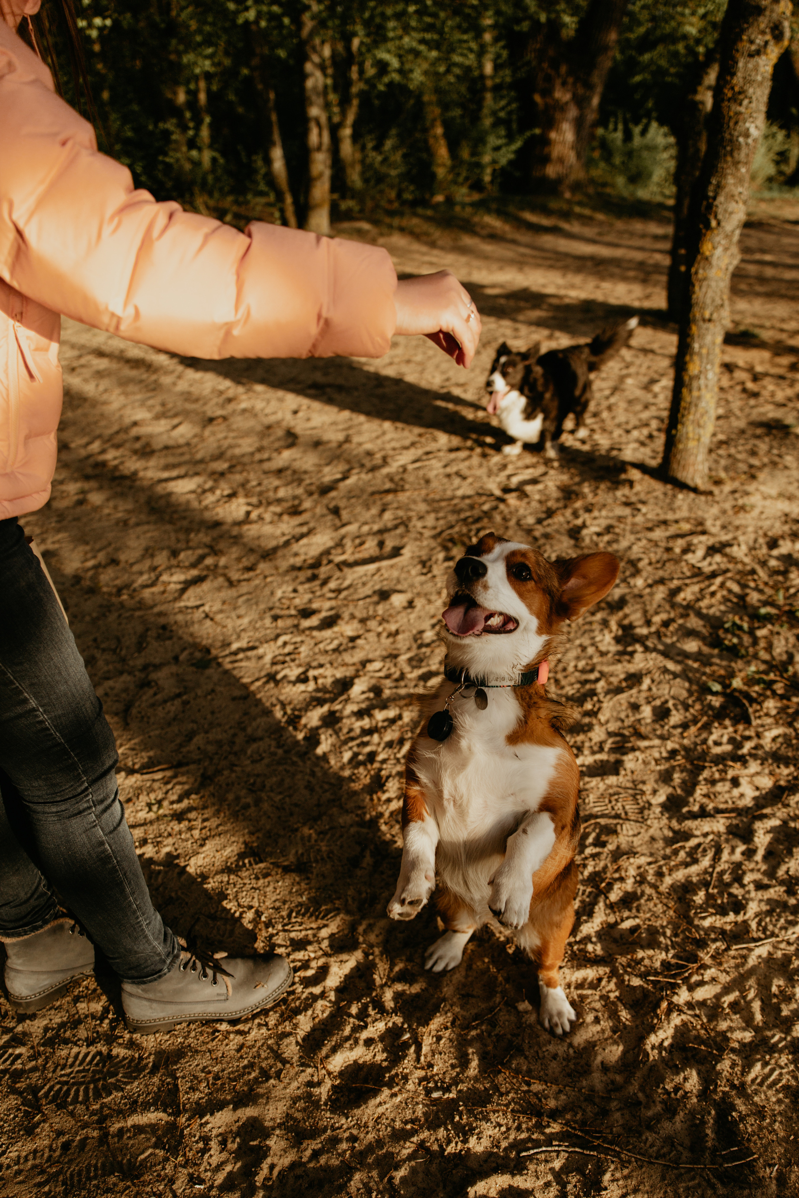 С Корги на Минском море. Свадебный и портретный фотограф Минск Евсович Инна