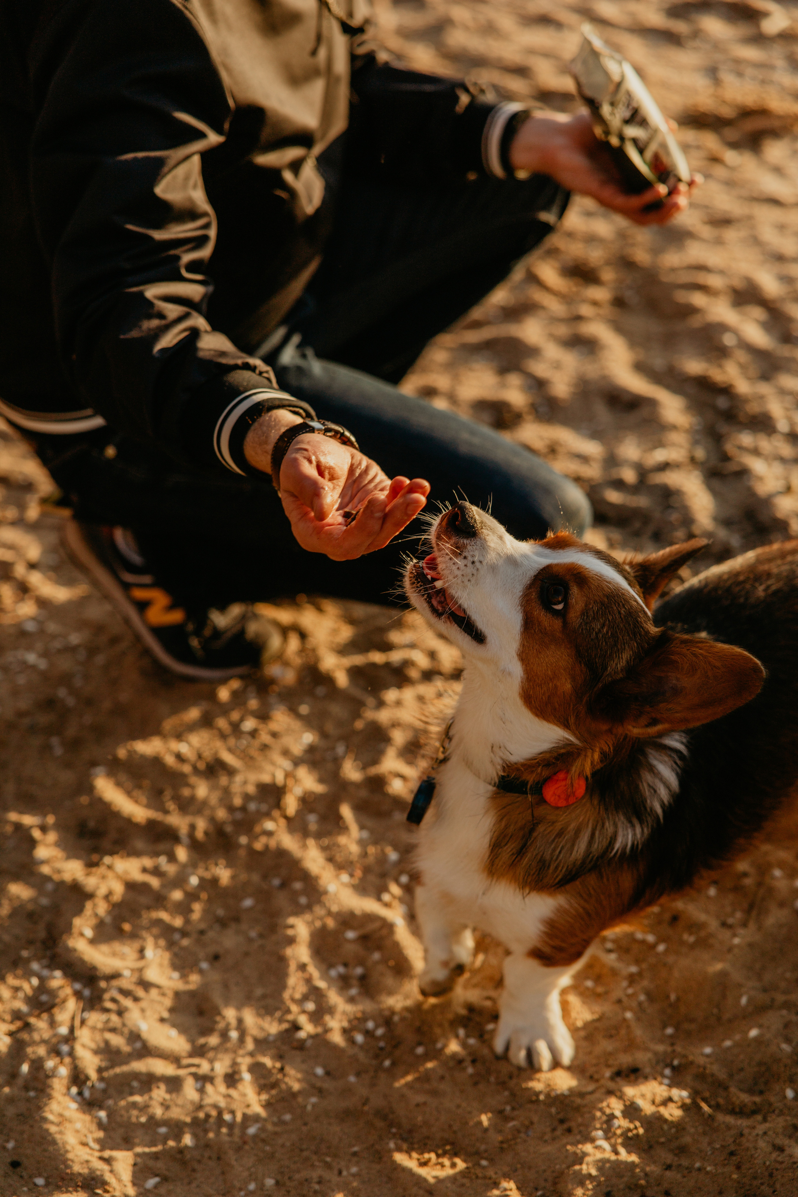 С Корги на Минском море. Свадебный и портретный фотограф Минск Евсович Инна