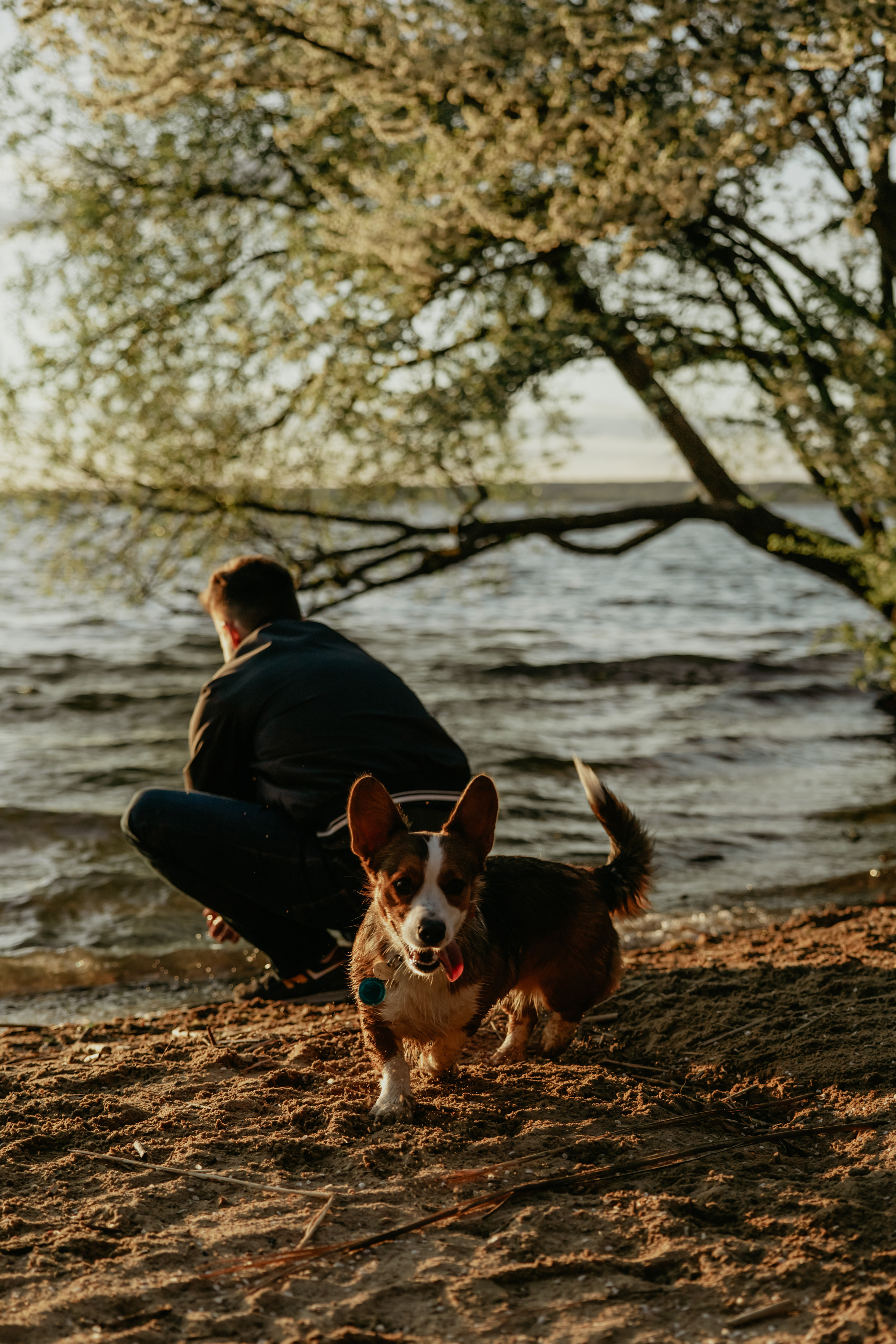 С Корги на Минском море. Свадебный и портретный фотограф Минск Евсович Инна