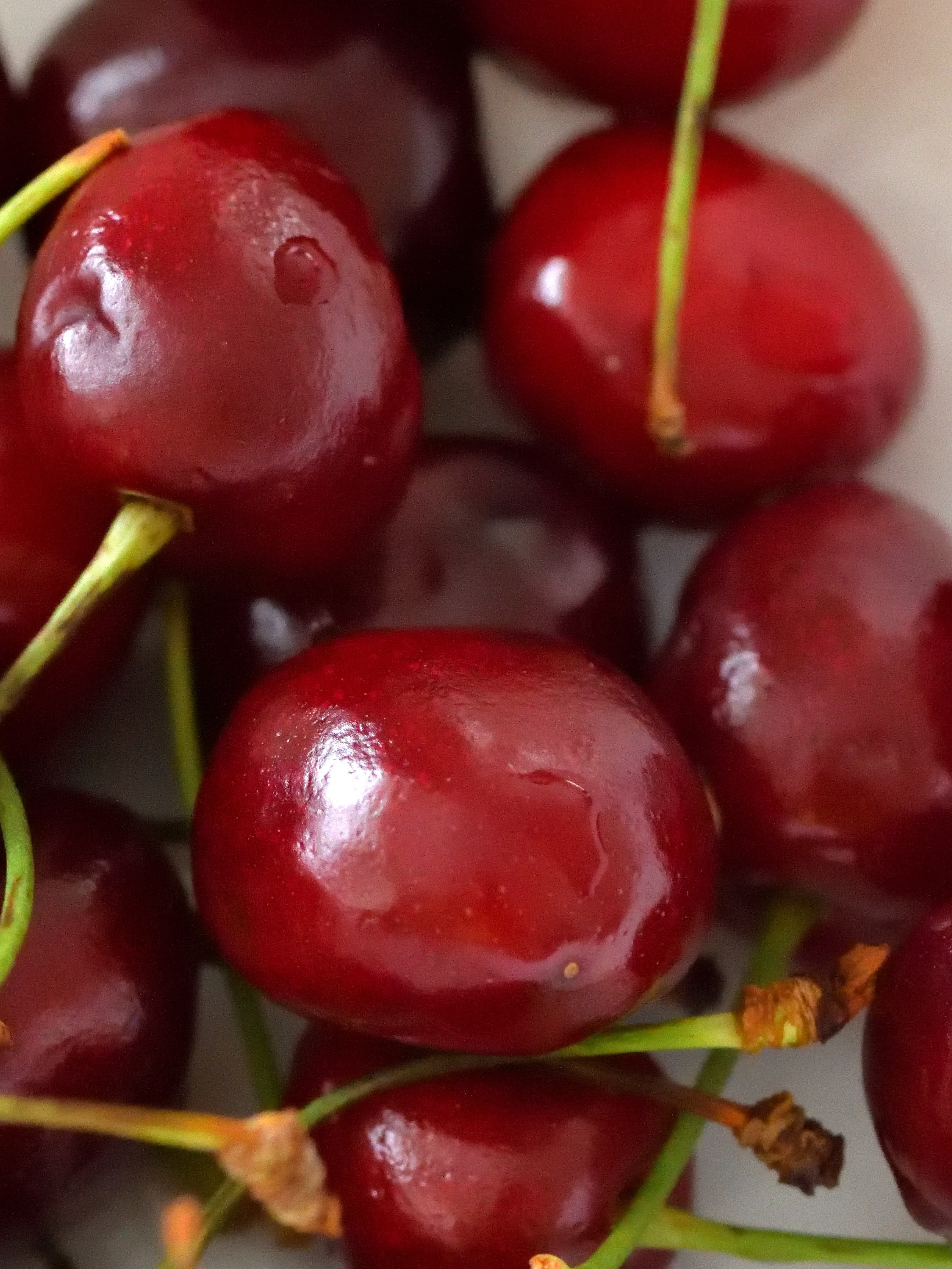 Цветы. Сергей Люльченко фотоальбом