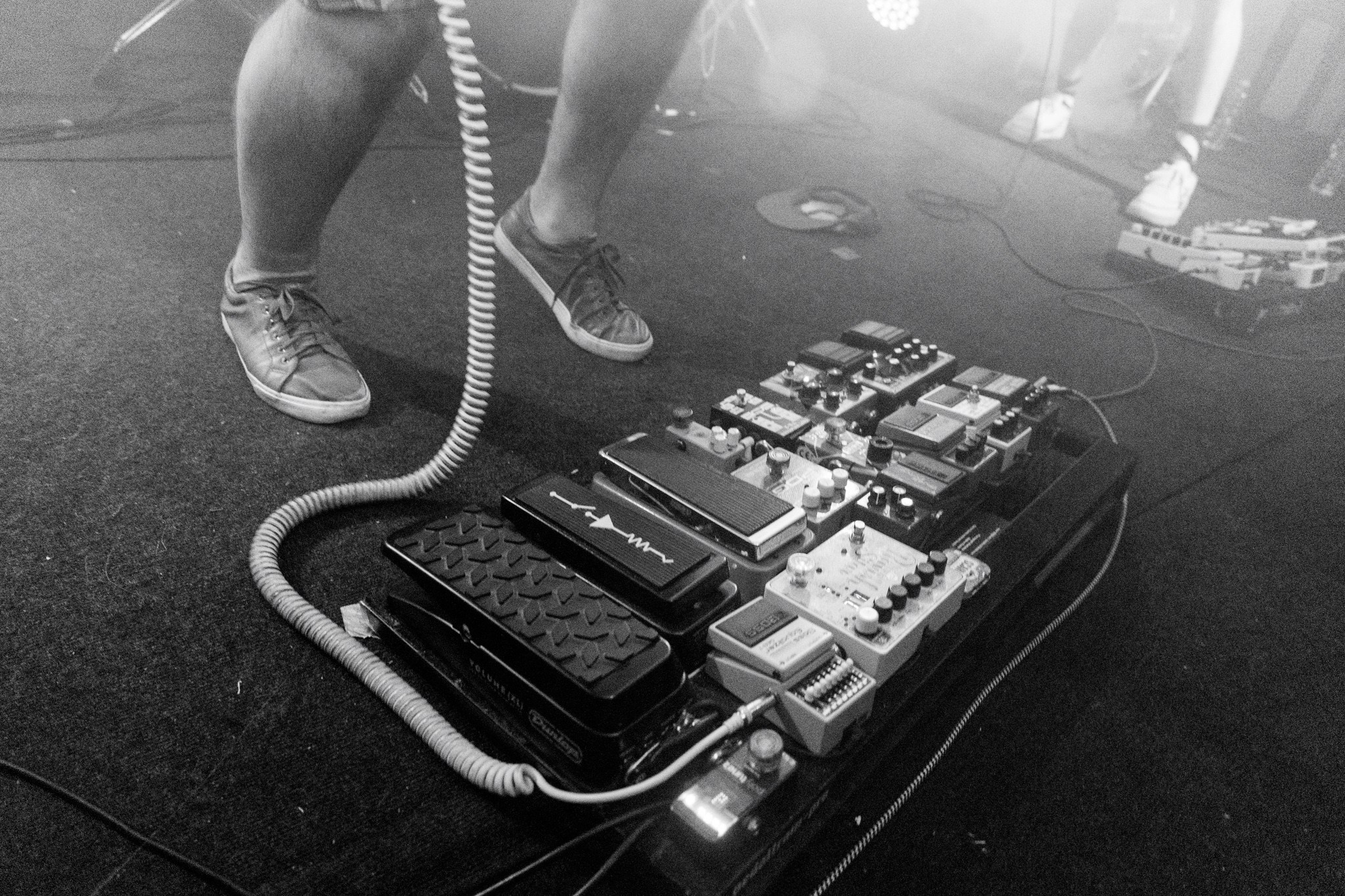 Змееед, Apodemus, 20.12.25, TAGO)))MAGO)))