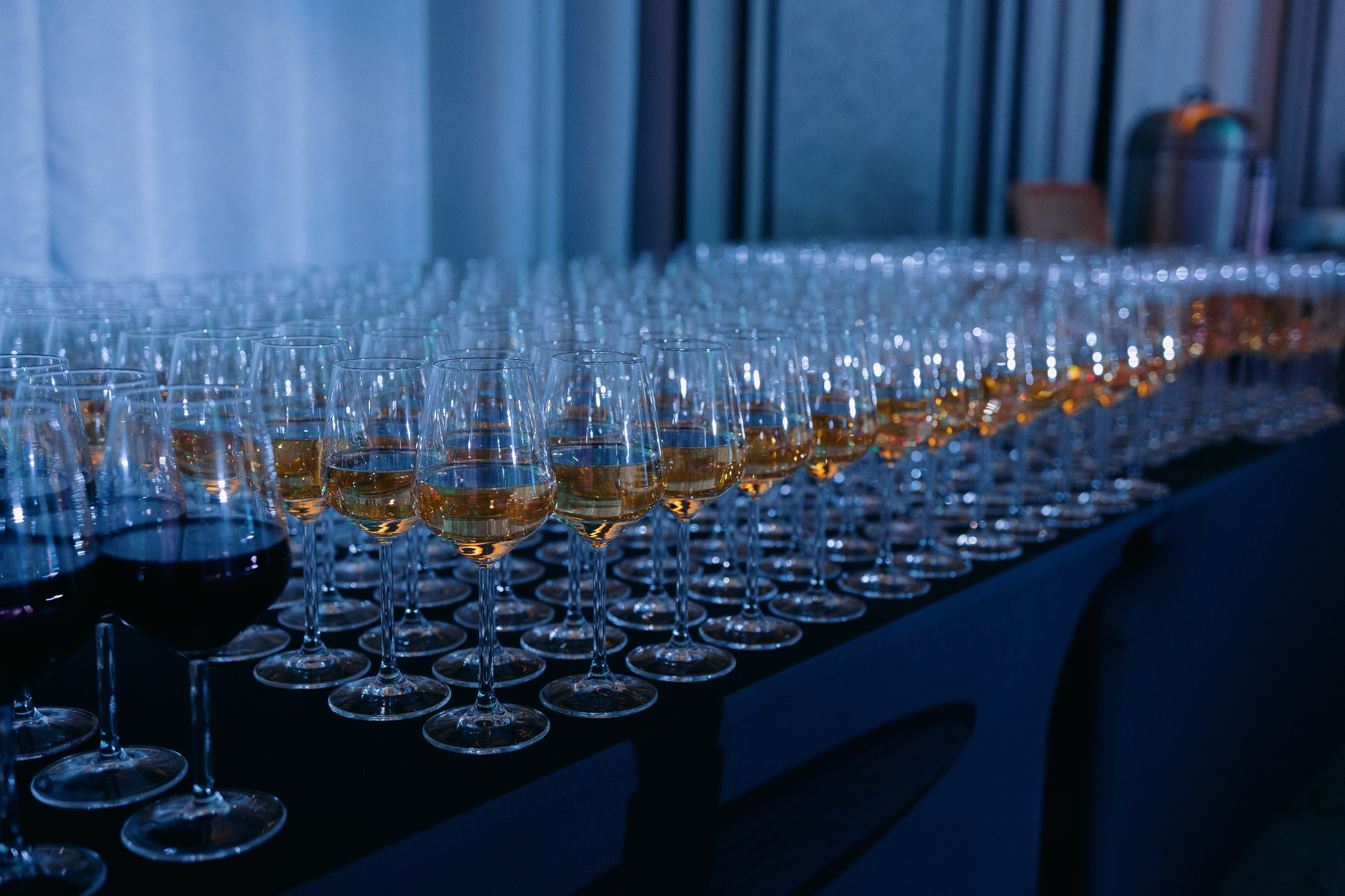 Технологии доверия | корпоратив. Showbiz | Fashion | Reportage