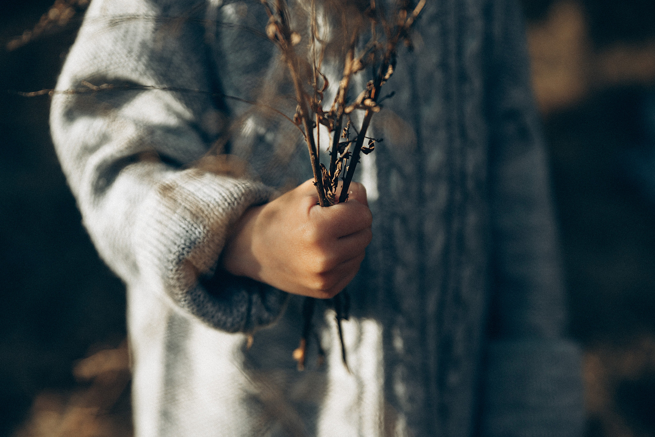 Птицы-самолеты. Репортажный и детский фотограф в Минске
