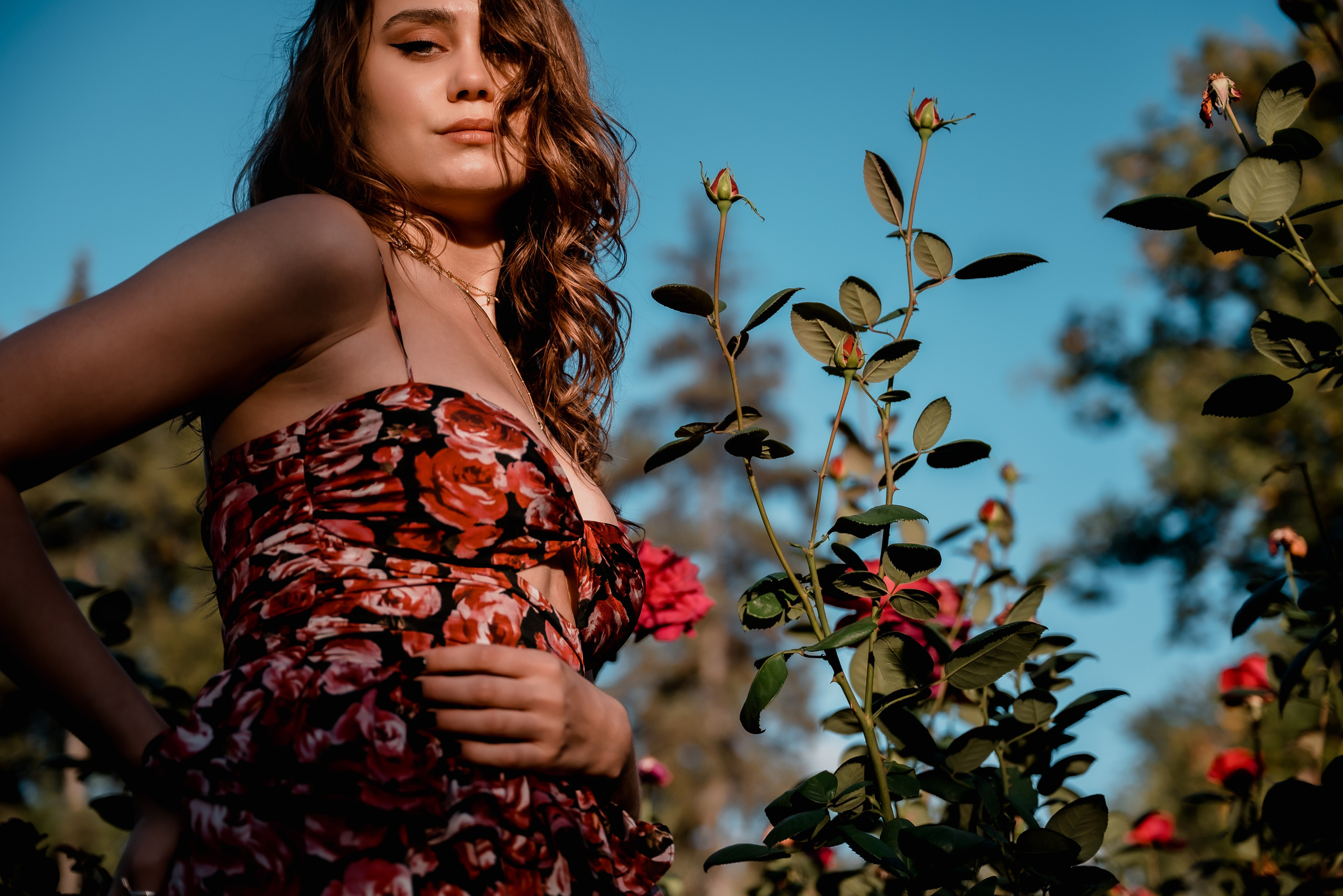 Последние дни лета. Фотограф Дарья Сафонова Dashulkacss