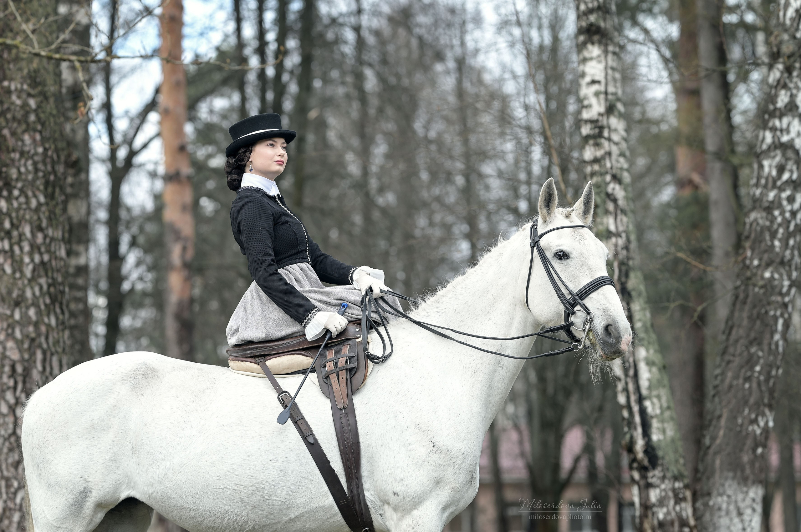 Дамская верховая езда. Фотограф Юлия Милосердова