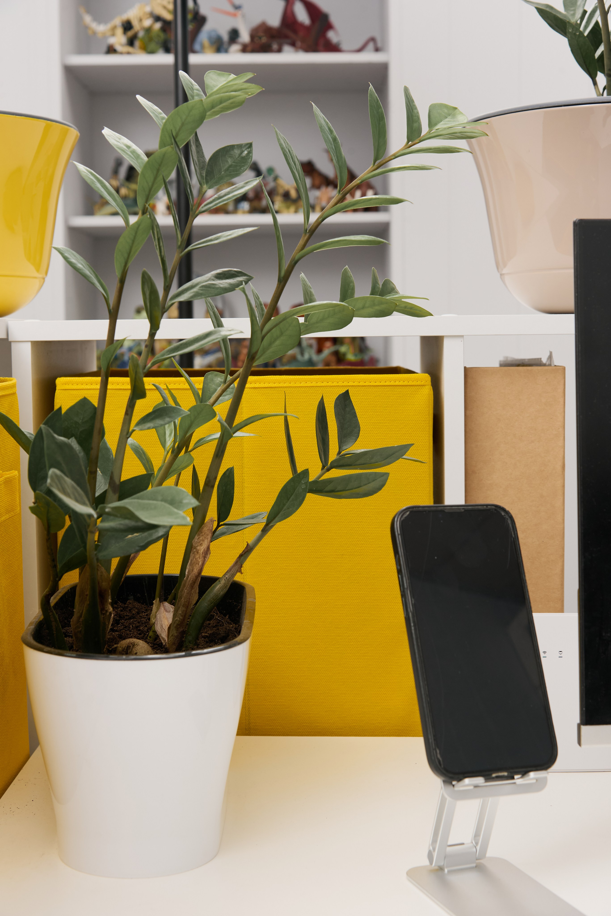 Офисная фотосессия. Фотограф в Нижнем Новгороде Юлия Рачинская