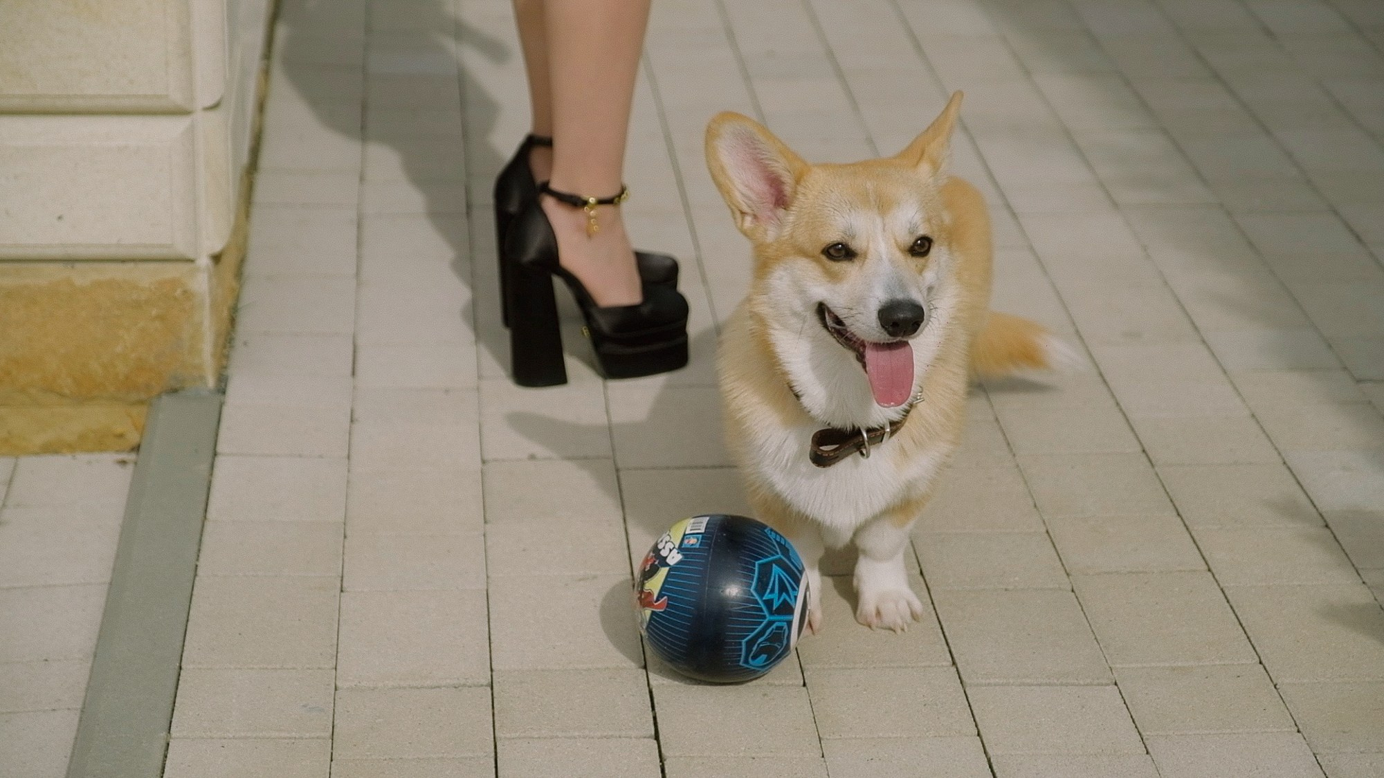 Владимир / Елена. Свадебный Видеограф Фотограф в Сочи