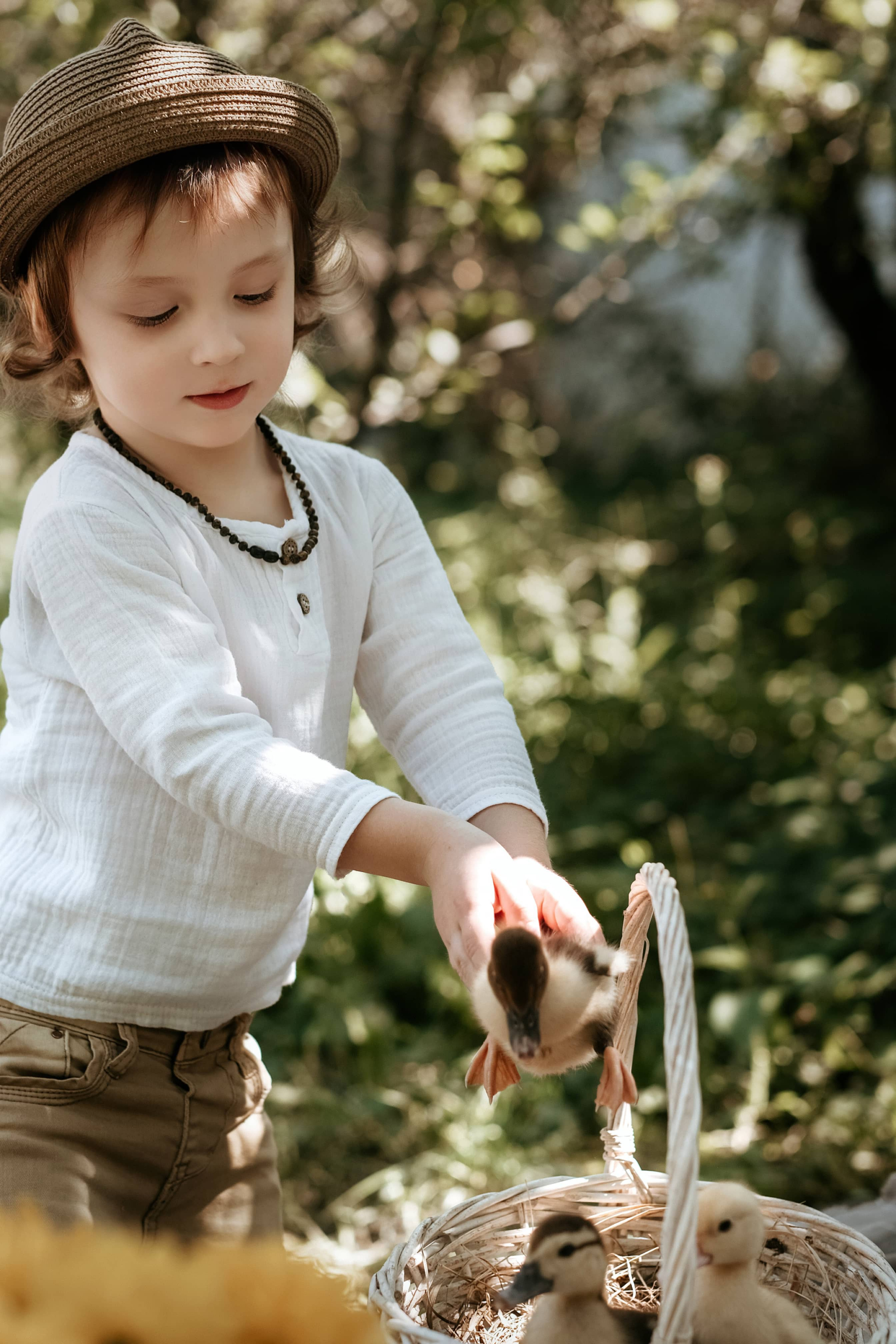 Фотосессия с утятами. Семейный и детский фотограф в Ростове-на-Дону Ольга Есенина