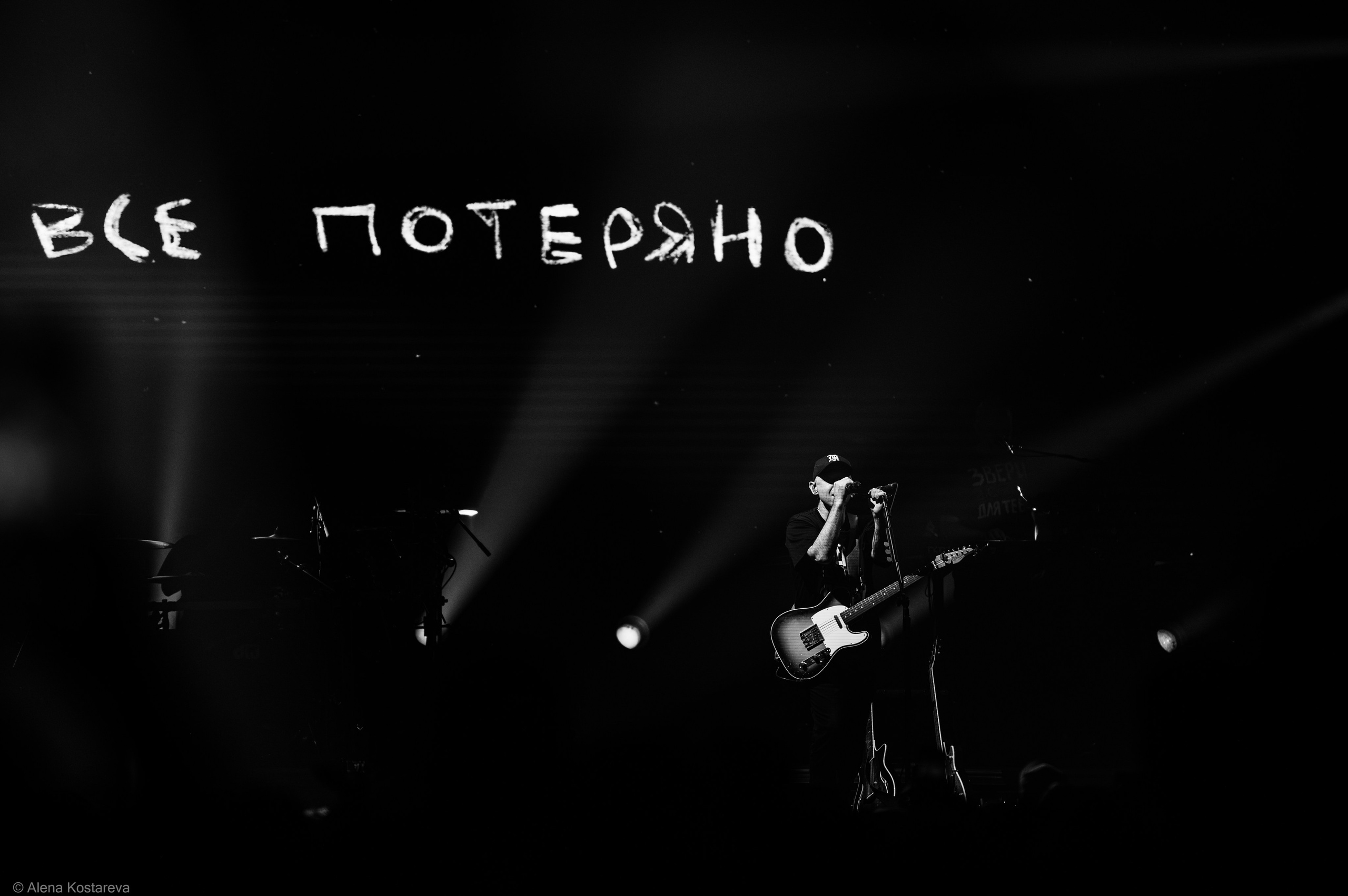 Звери. Алена Костарева. Фотограф в Ростове-на-Дону