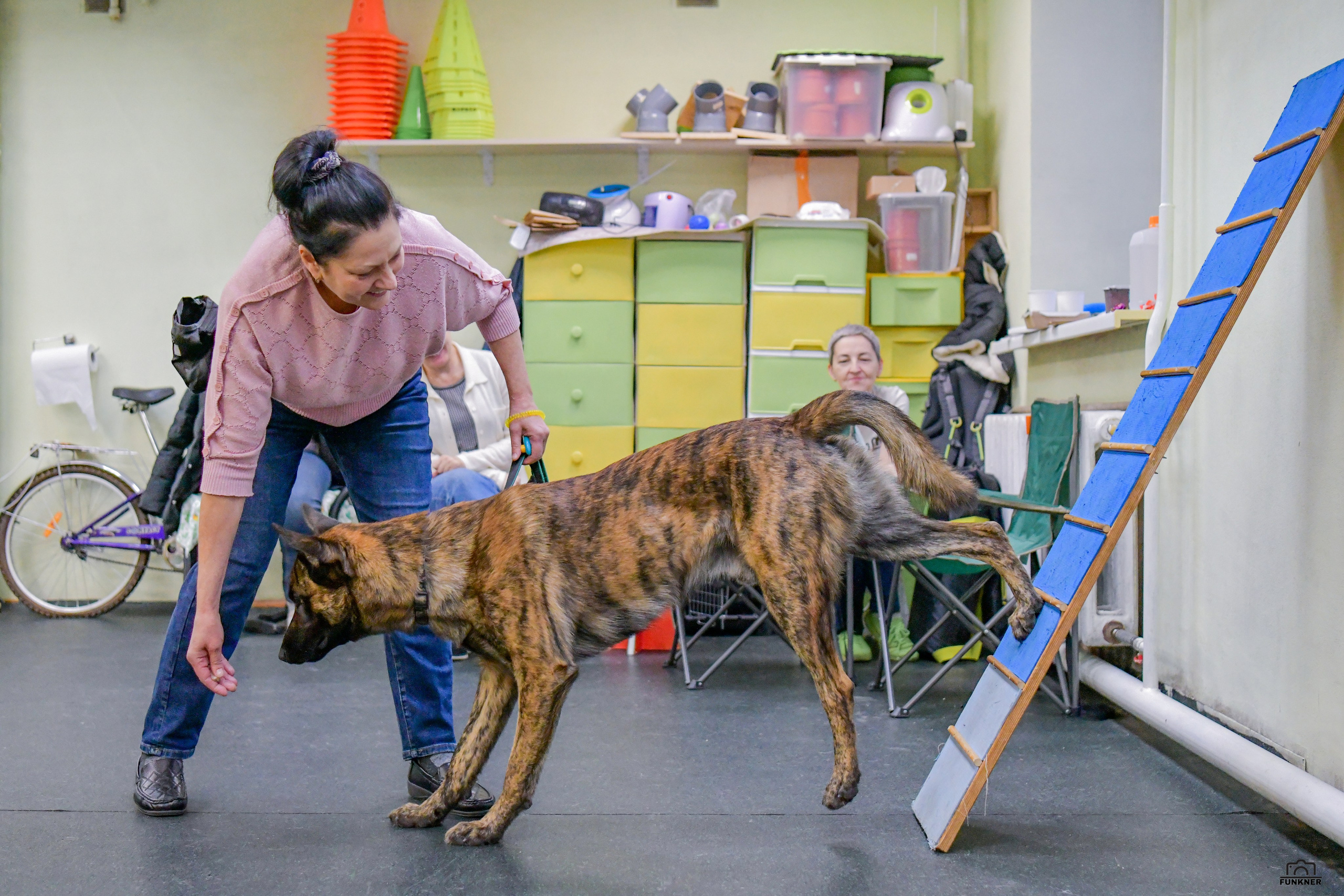Кинологический клуб «Бодрый хвост». Свой взгляд через объектив