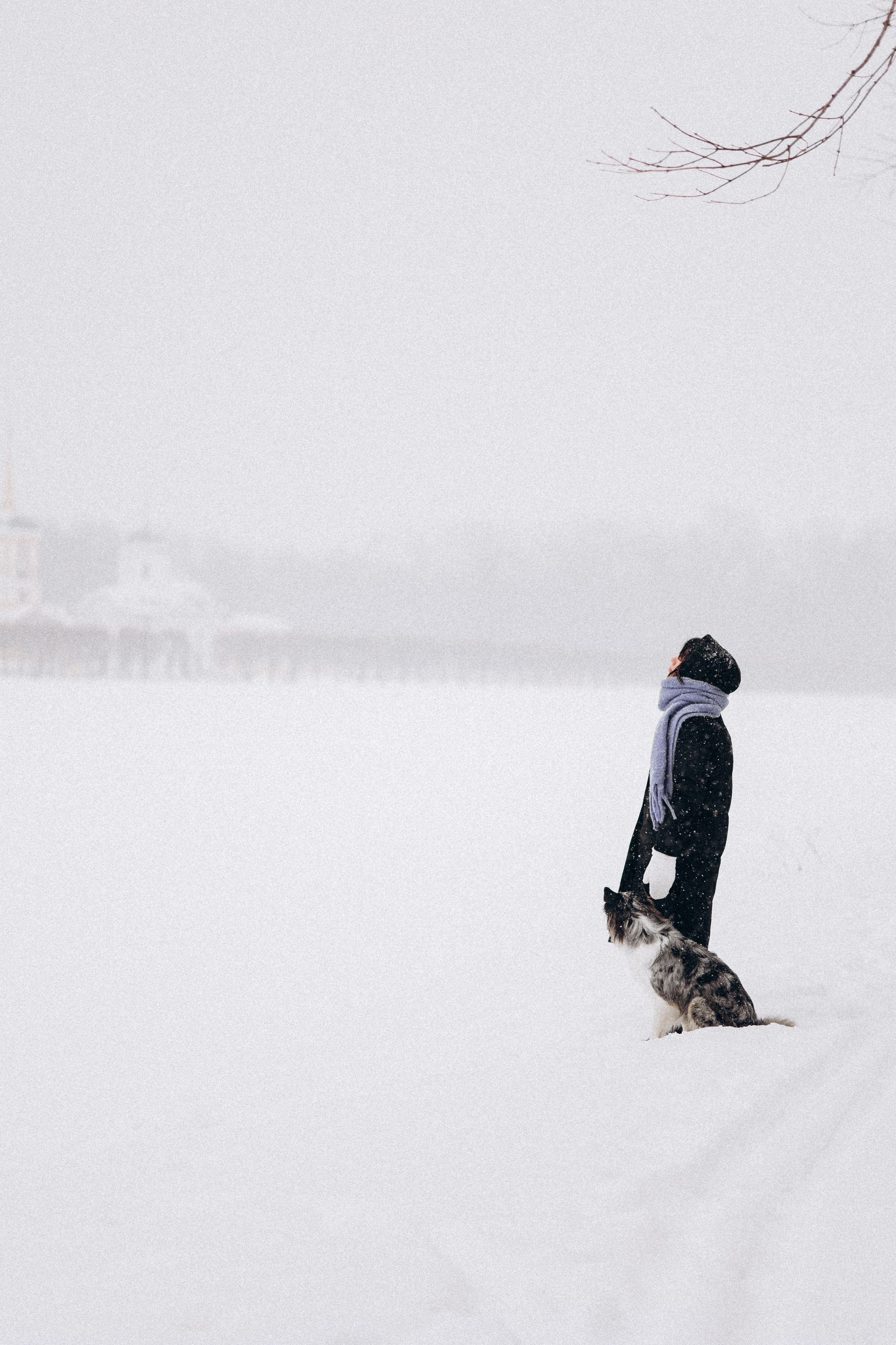 Настя и Тор. Фотораф — анималист Мария Шистка