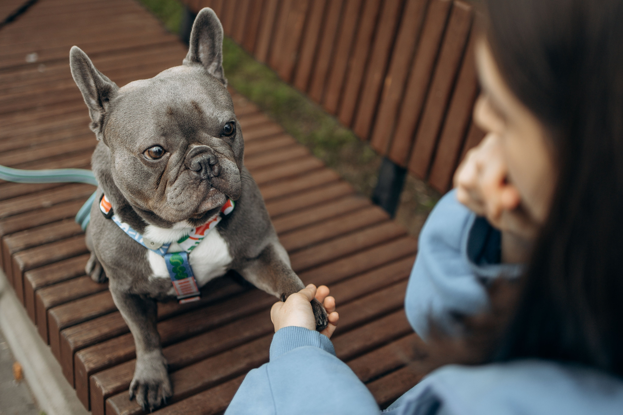 Грей и его семья