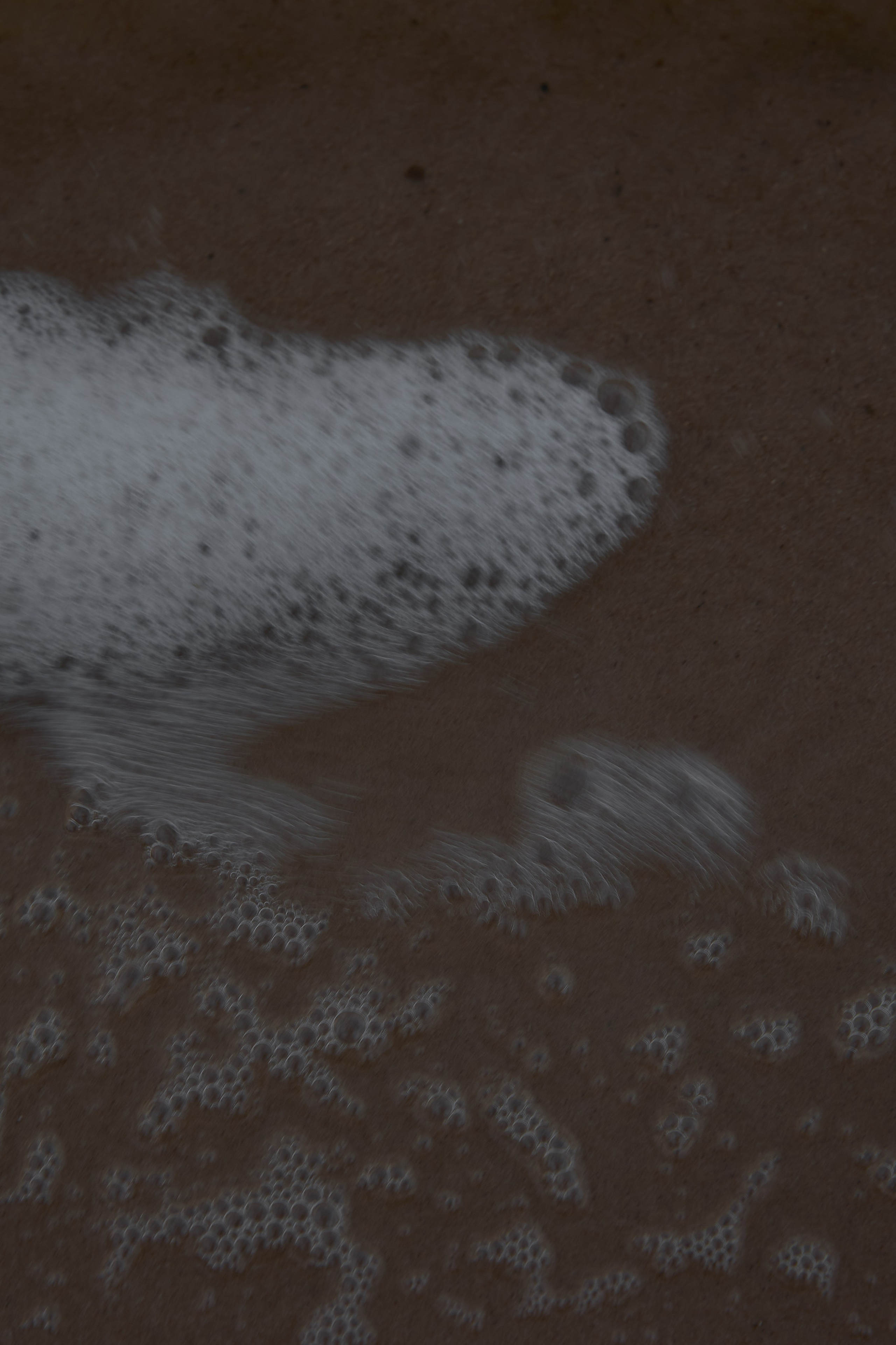 Добро пожаловать в Семью!. Обо мне