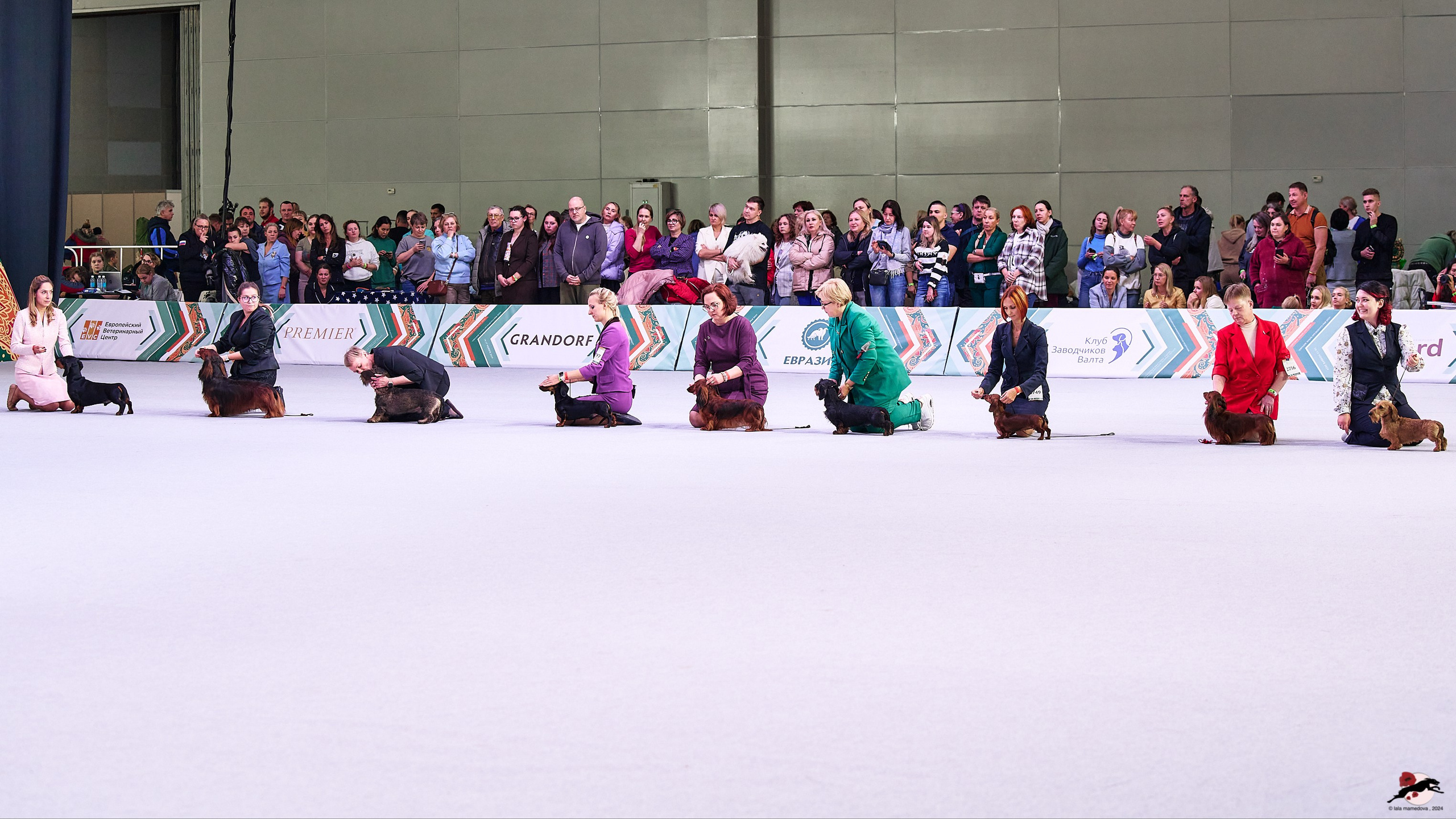 16.11.2024 «ЕВРАЗИЯ. КУБОК ПРЕЗИДЕНТА РКФ 2024»