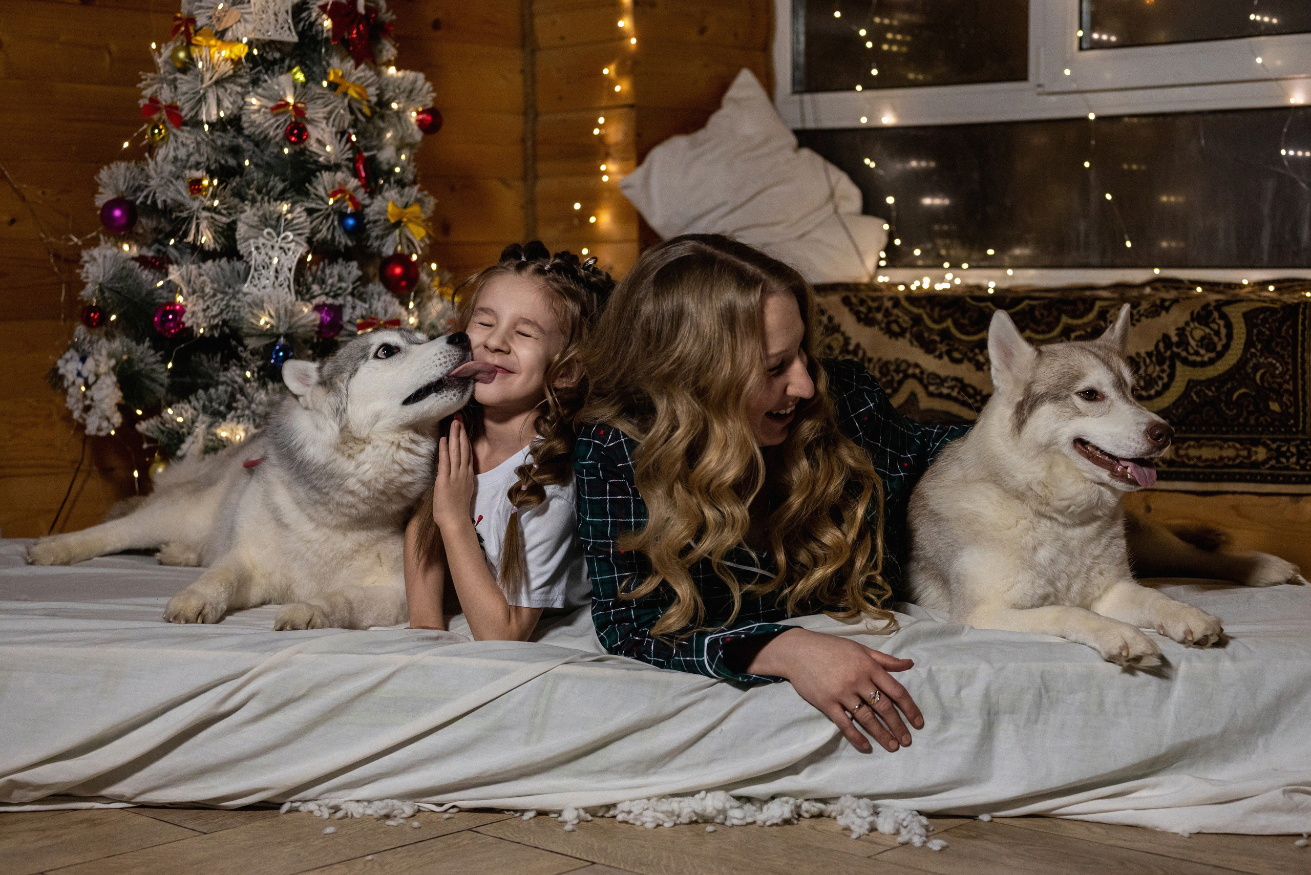 Фотопроект с хаски 2024 г. Фотограф в городе Салават