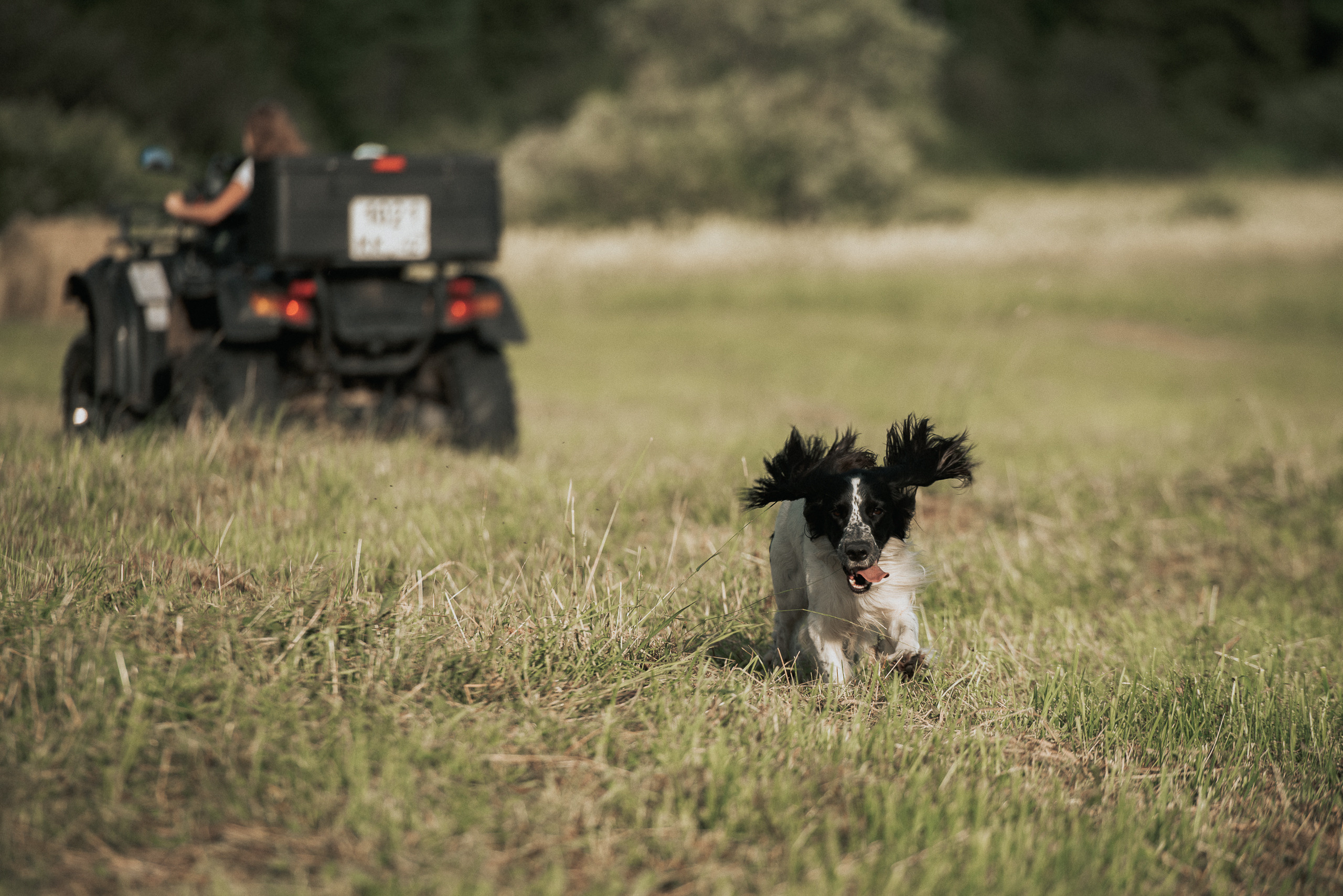 На природе. Репортажный фотограф в Кемерово