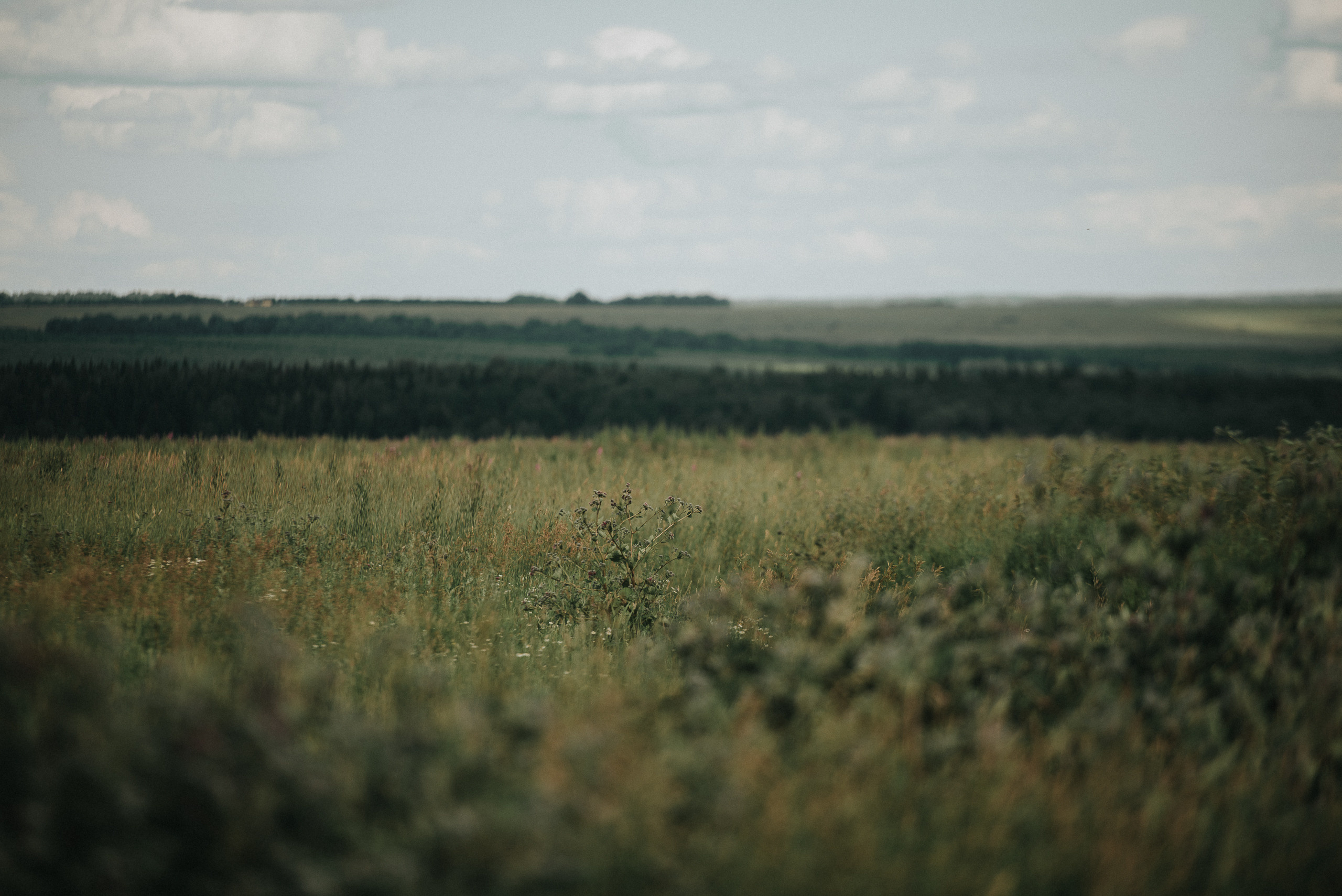 На природе. Репортажный фотограф в Кемерово
