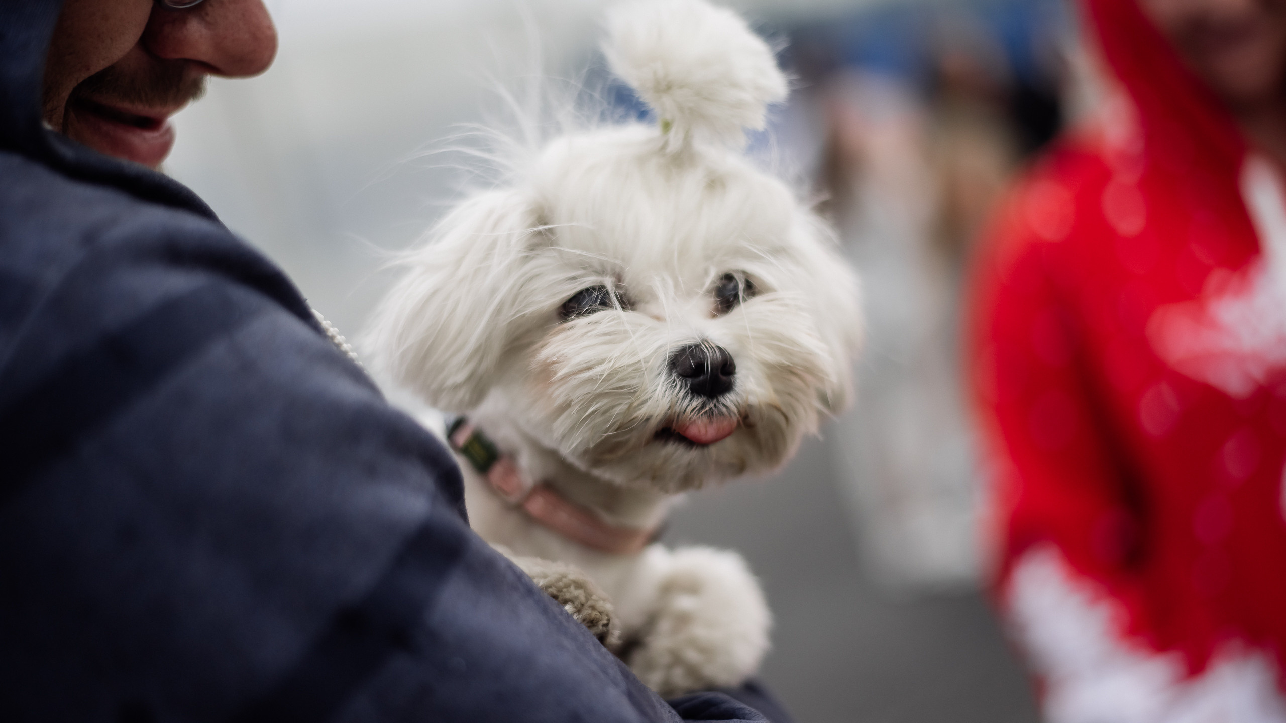 28.05.2022 — КСКГ Классика — Этап 1. Репортажный фотограф в Кемерово