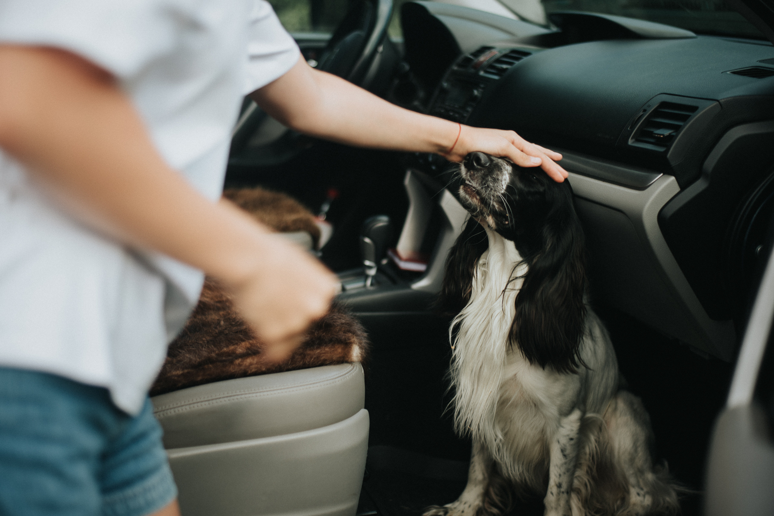 На природе. Репортажный фотограф в Кемерово