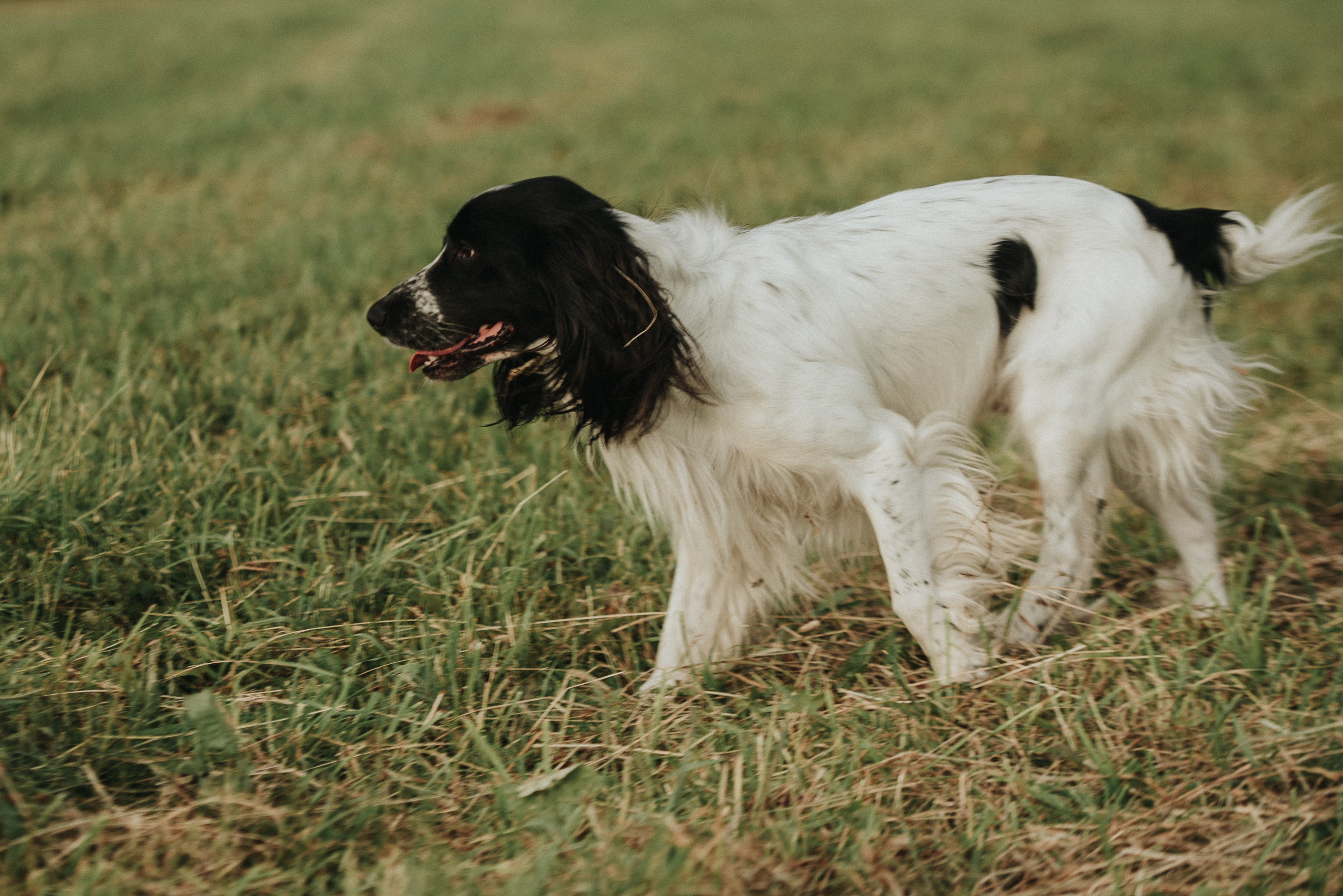 На природе. Репортажный фотограф в Кемерово