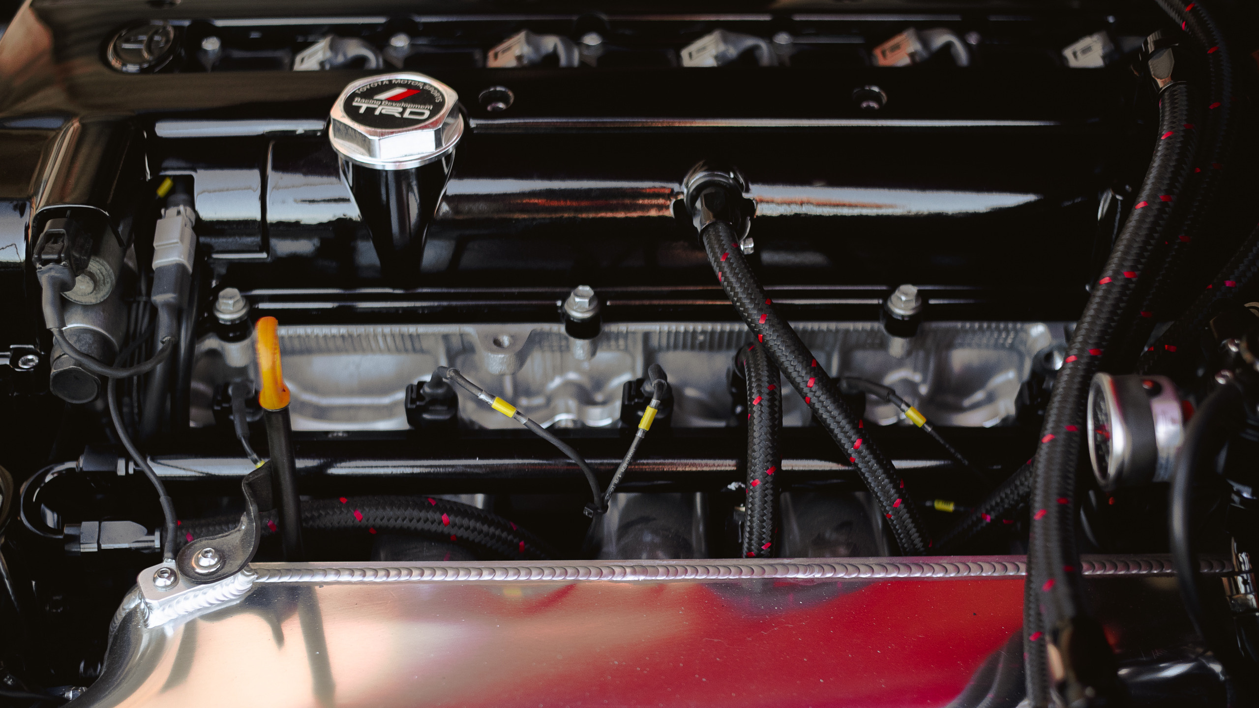 Портфолио. Репортажный фотограф в Кемерово