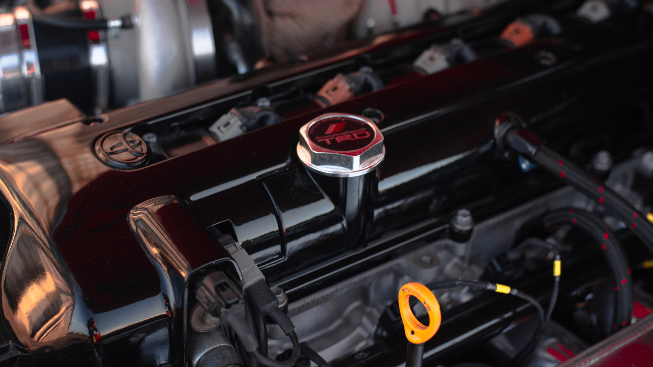 Портфолио. Репортажный фотограф в Кемерово