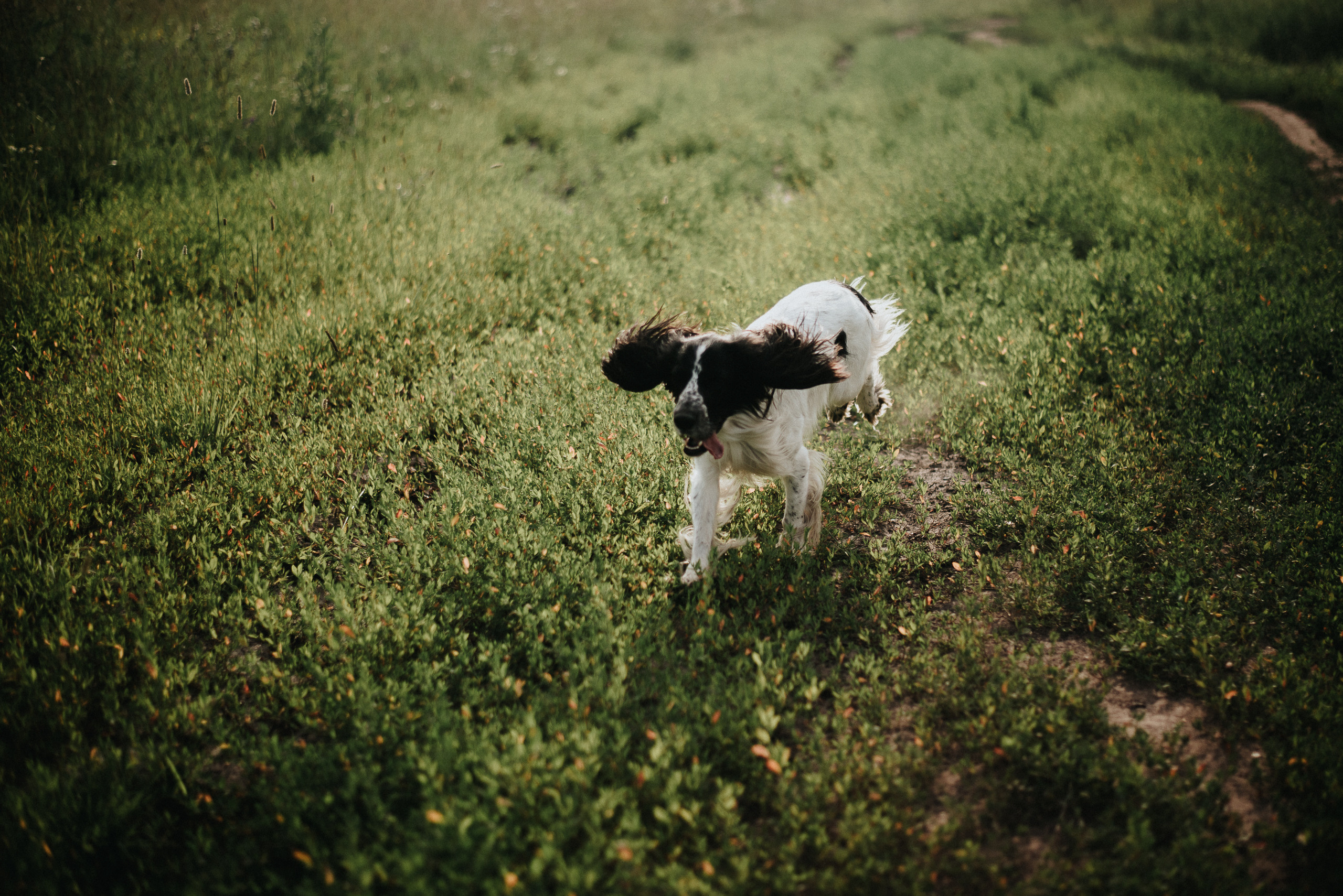 На природе. Репортажный фотограф в Кемерово