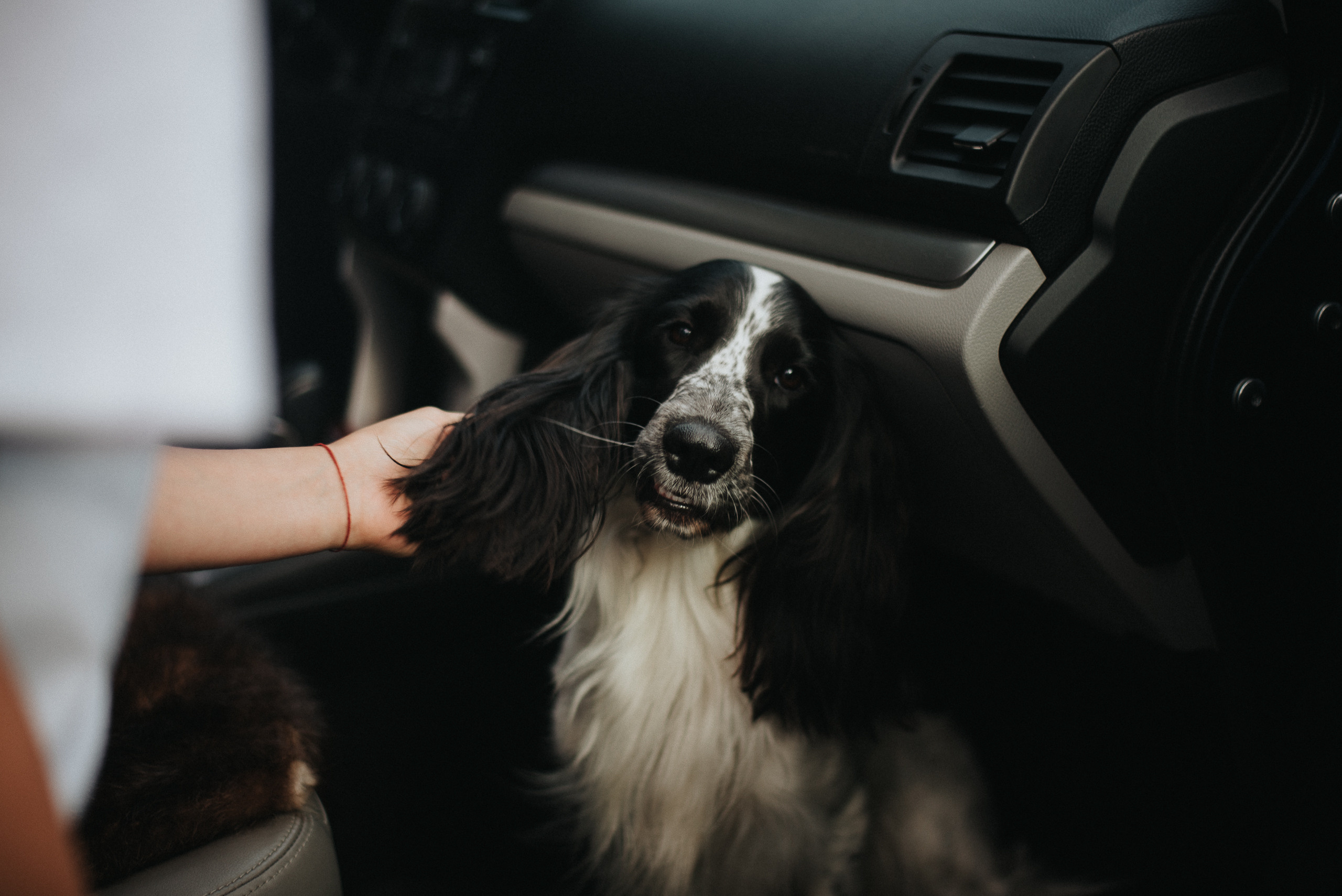 На природе. Репортажный фотограф в Кемерово